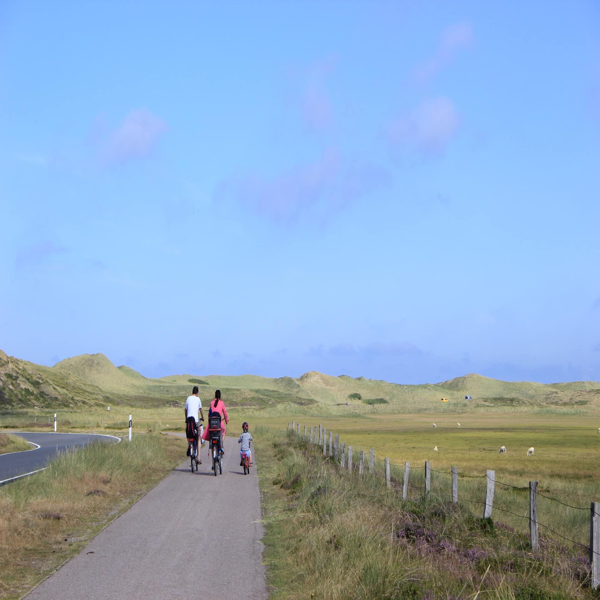 Rückenansicht: Eltern mit Kind fahren nebeneinander mit dem Fahrrad einen Weg in einer Graslandschaft entlang. 