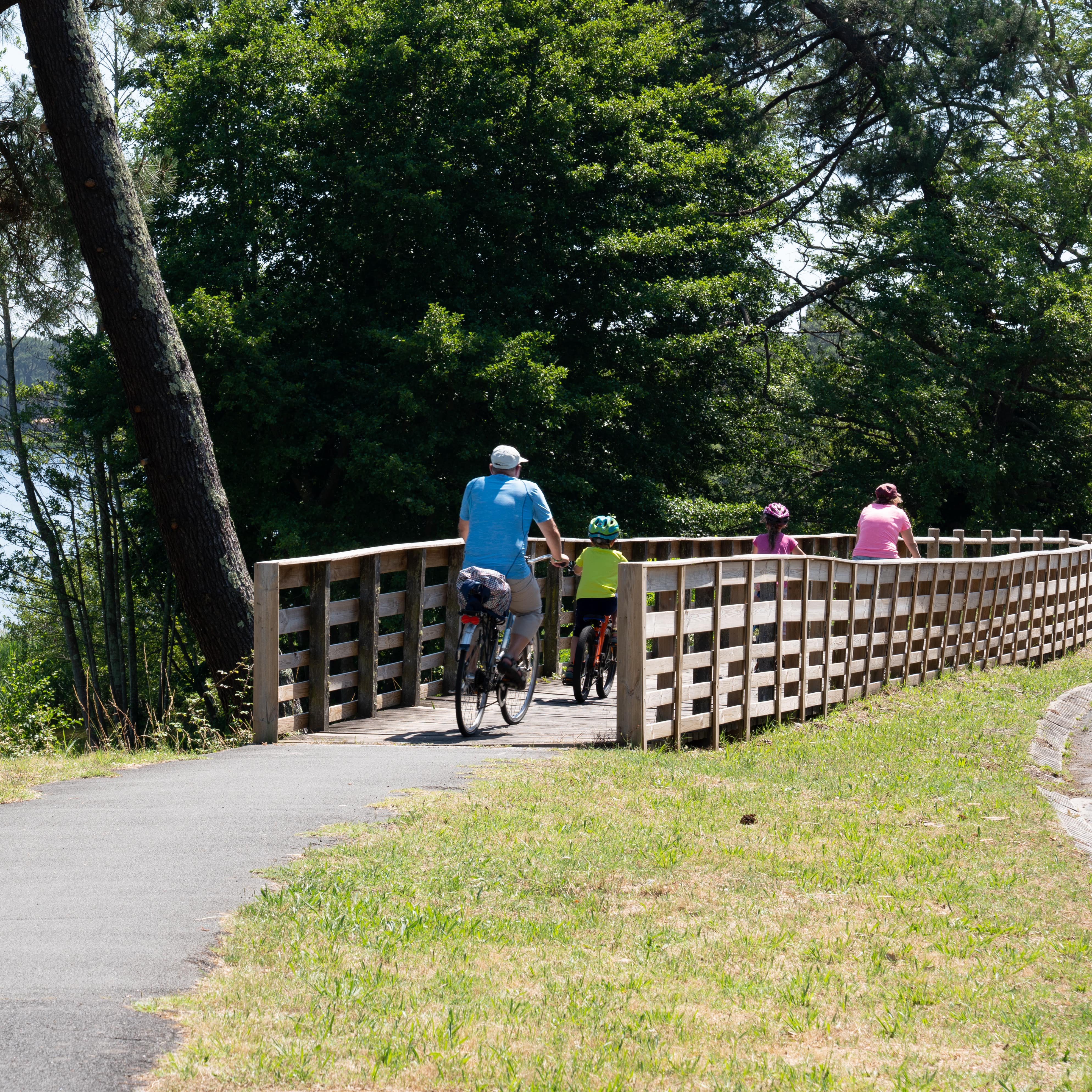 Rückenansicht: Familie mit 2 Kindern radelt über einer Brücke auf einem Radweg am See.