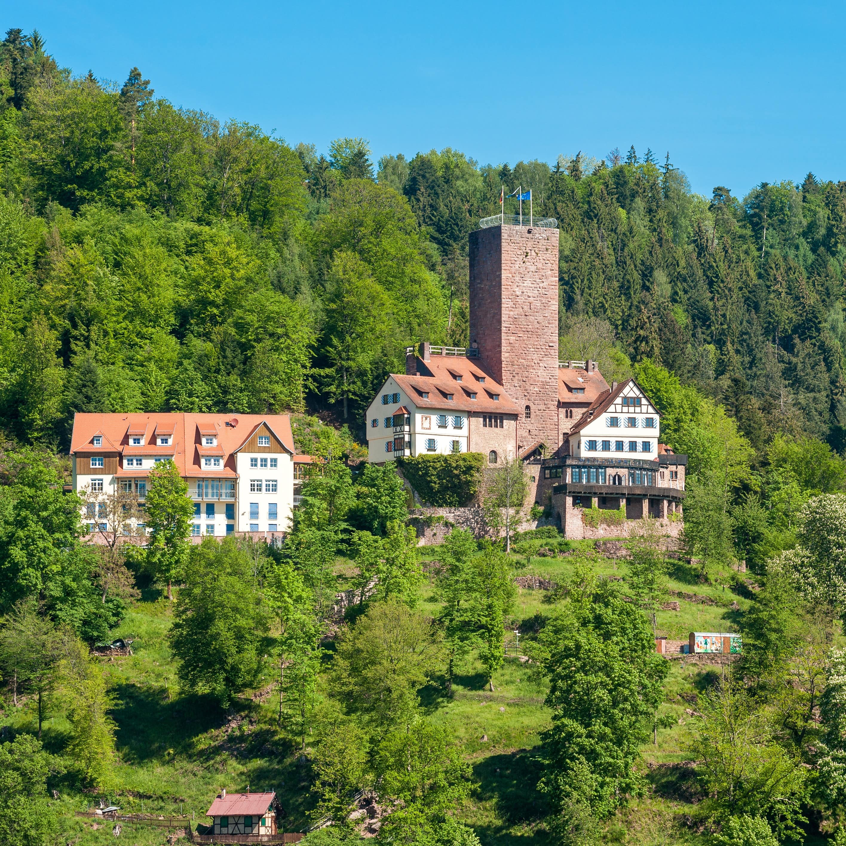 Die Burg Liebenzell.