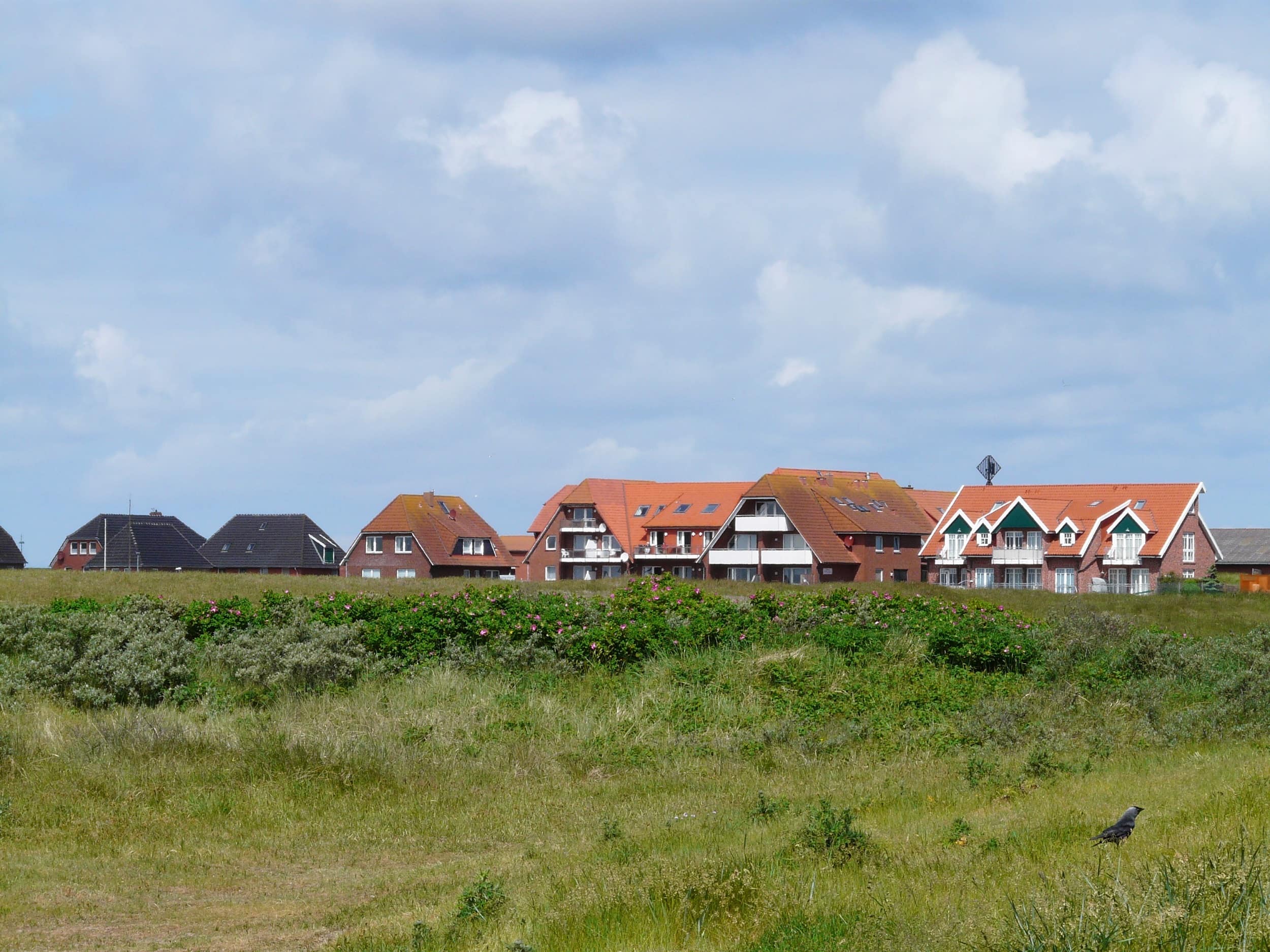 Ferienwohnung an der Nordsee – salzige Brise, Strandspaß, Sonne