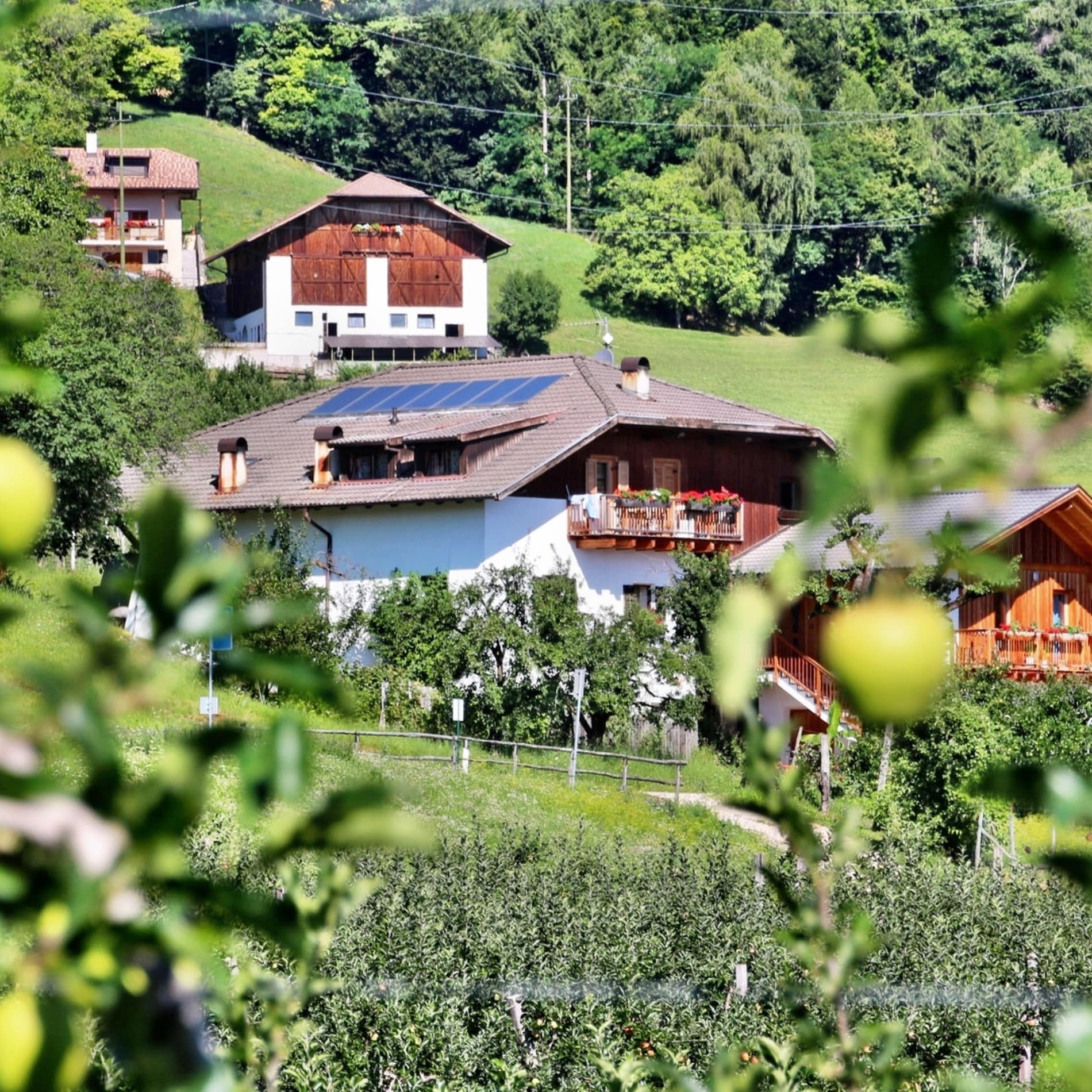 Mitten im Grünen liegt das Bauernhaus Regalterhof, in dem Sie bequeme Ferienwohnungen erwarten