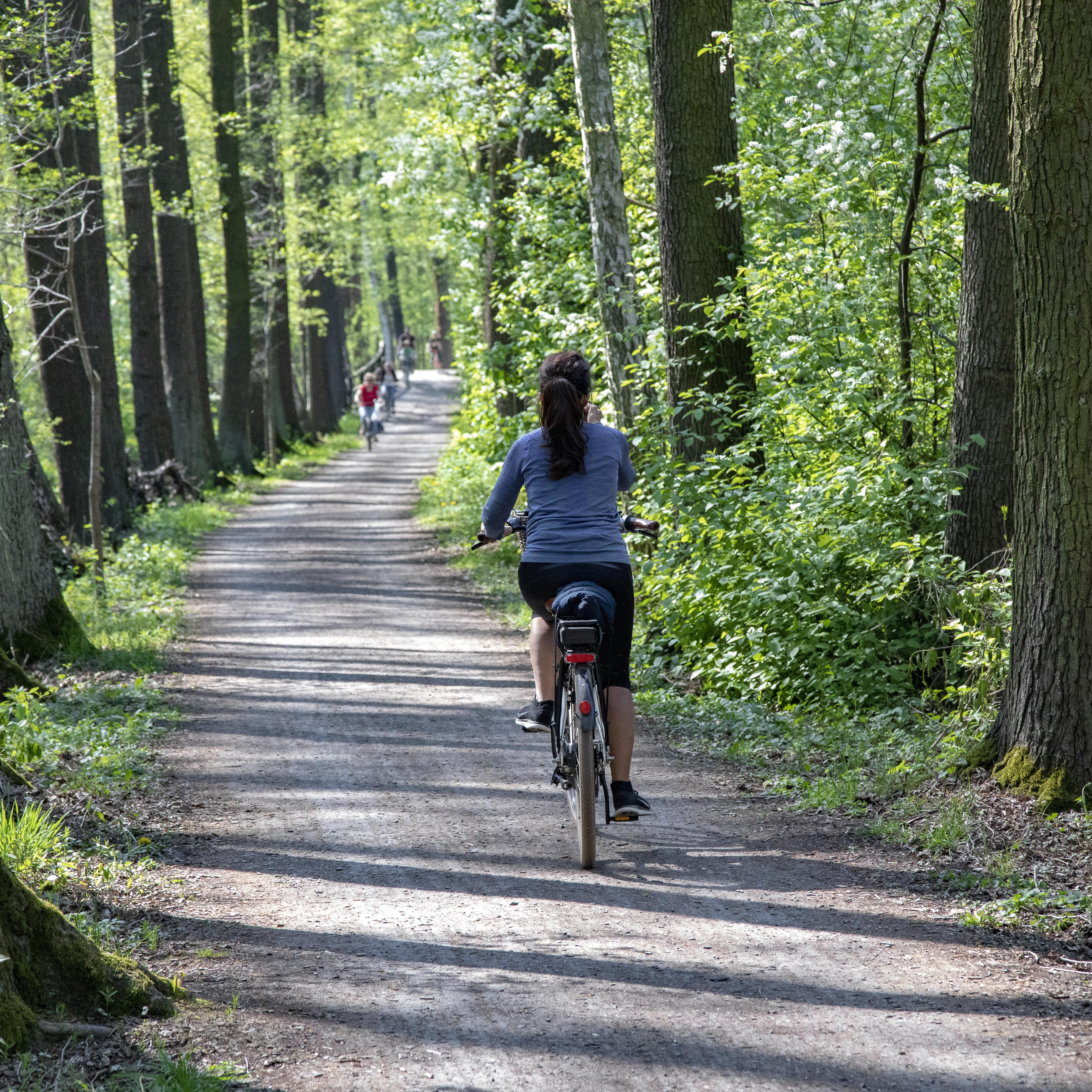 Radfahrer auf dem Gurkenradweg bei Leipe.