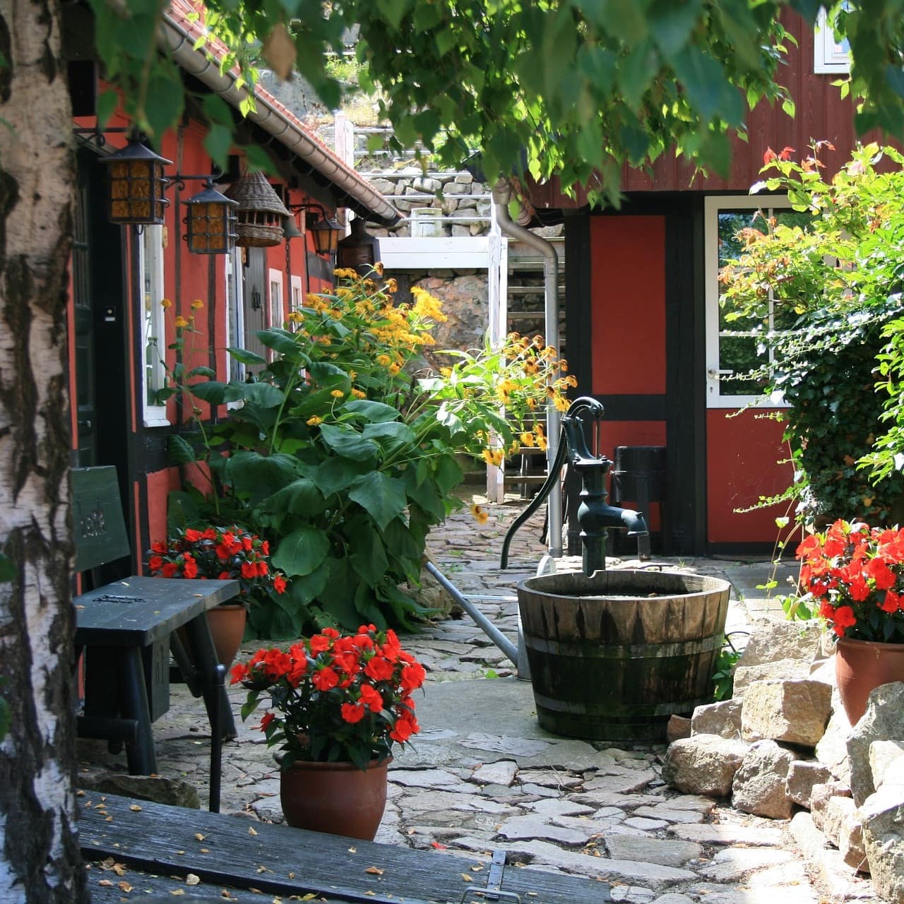 Blick auf einen Hinterhof voller Blumen, in der Mitte steht eine Wasserpumpe