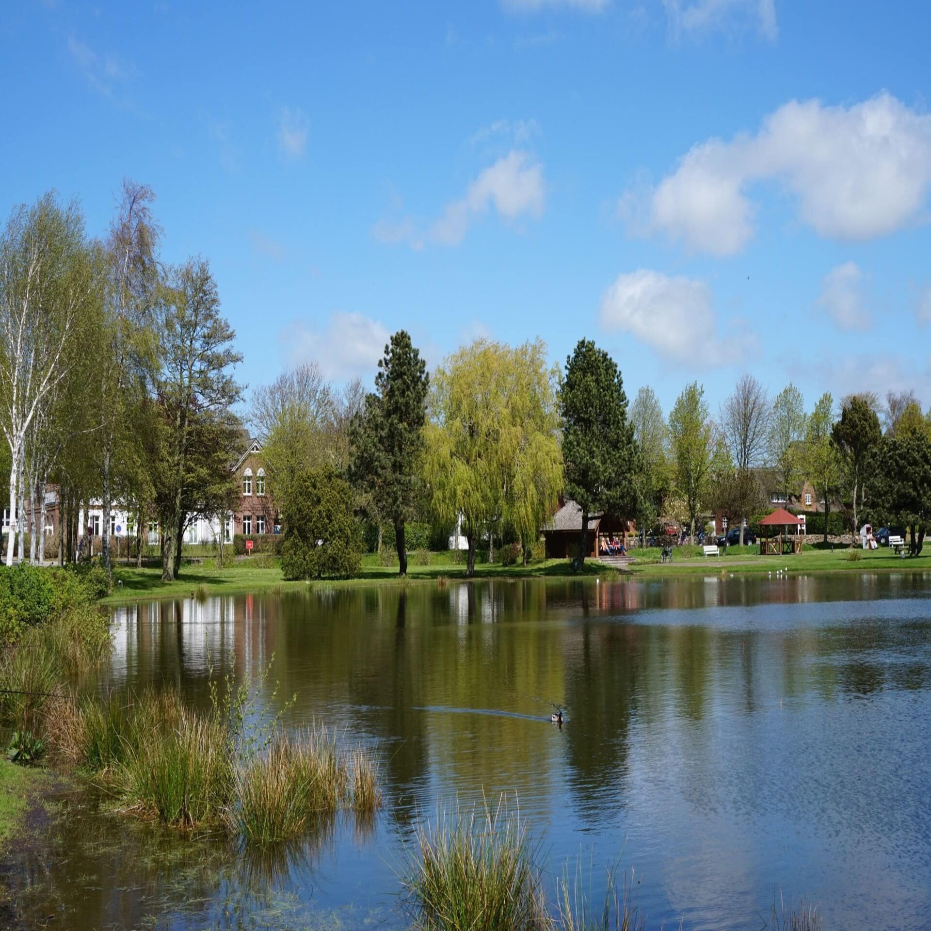 Blick über einen Teich auf einen Park und Häuser in Nieblum. Es ist Sommer. 