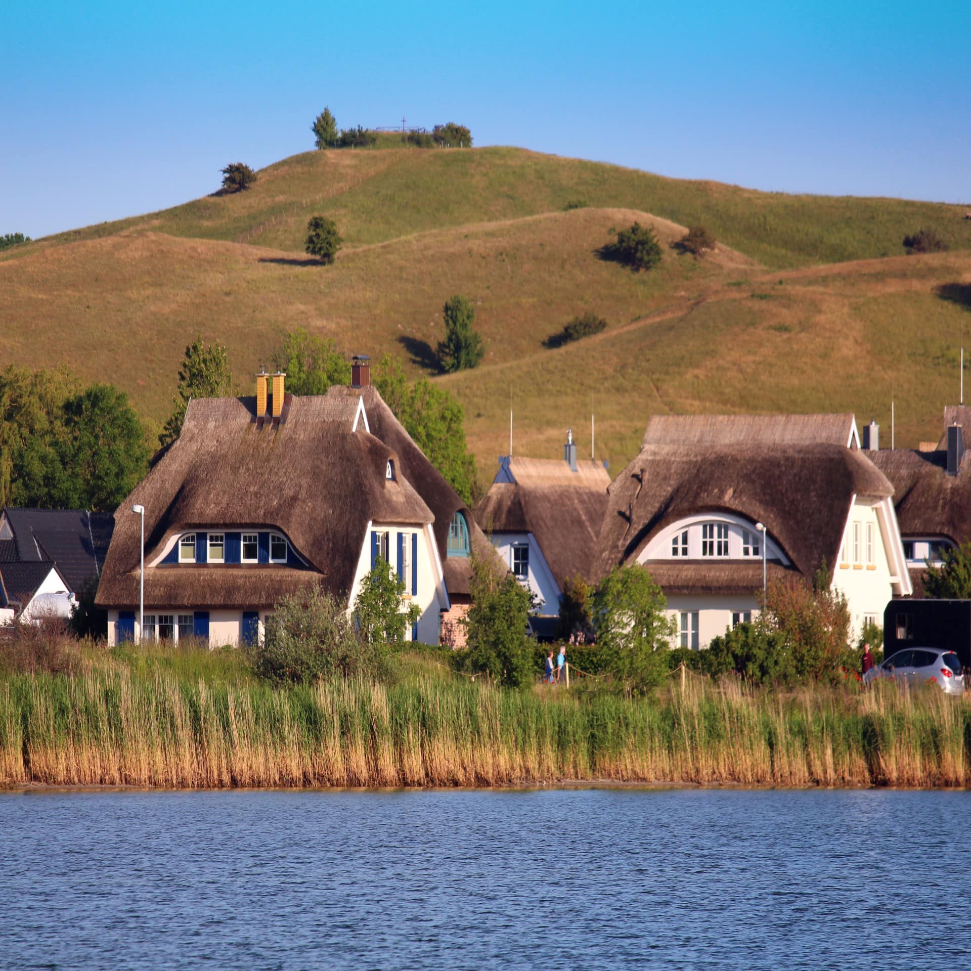 Blick vom Wasser auf Reetdachhäuser hinter einem Schilfgürtel. Dahinter eine hügelige Wiese und blauer Himmel.
