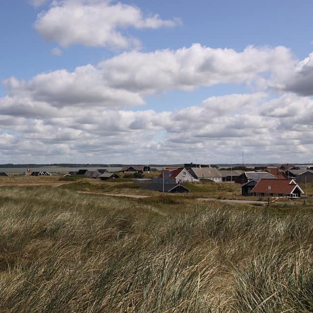 Endlose Weiten – Blick auf Dänemark-Ferienhäuser inmitten der Dünenlandschaft