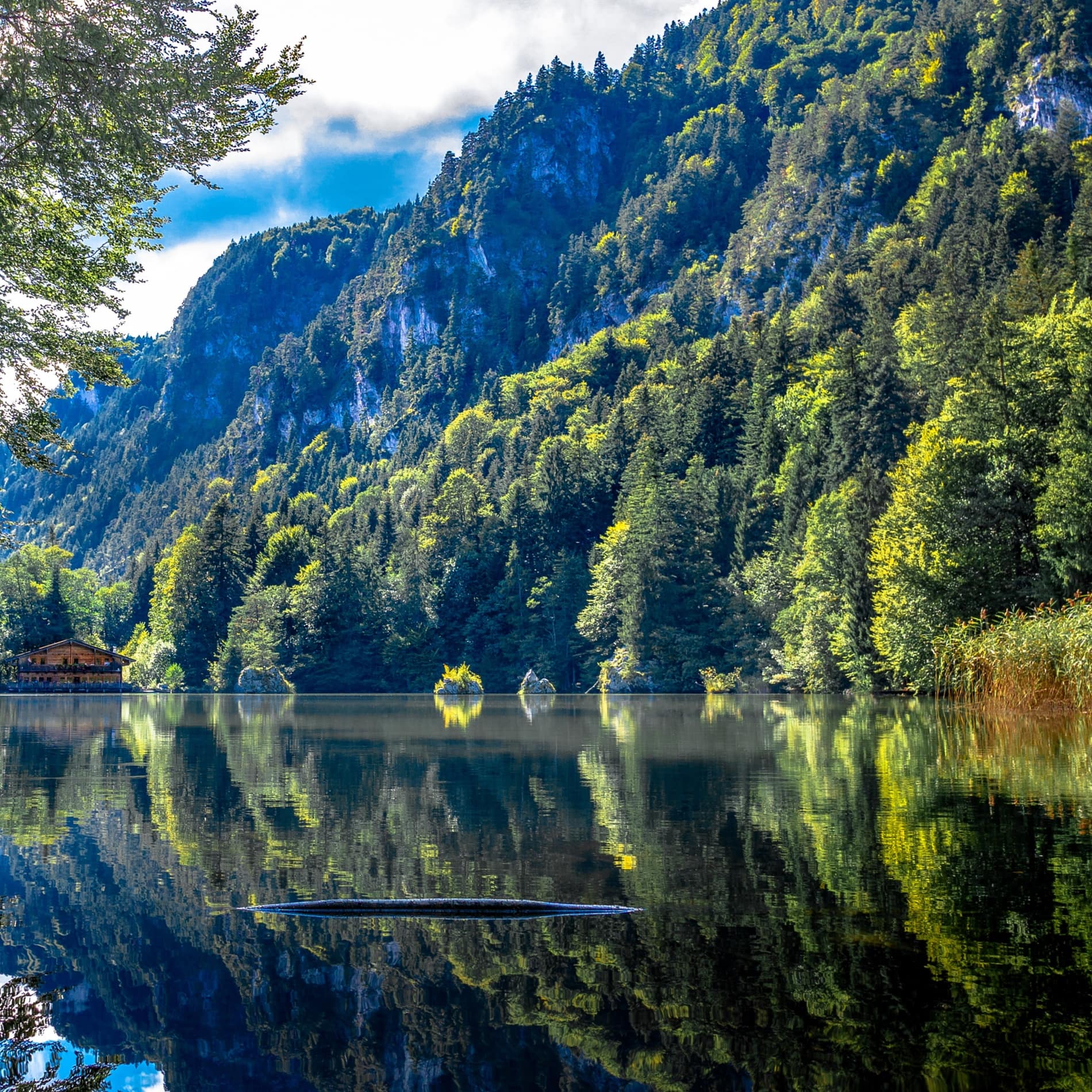 Im Berglsteiner See spiegeln sich die Wälder und Felswände der umliegenden Berge