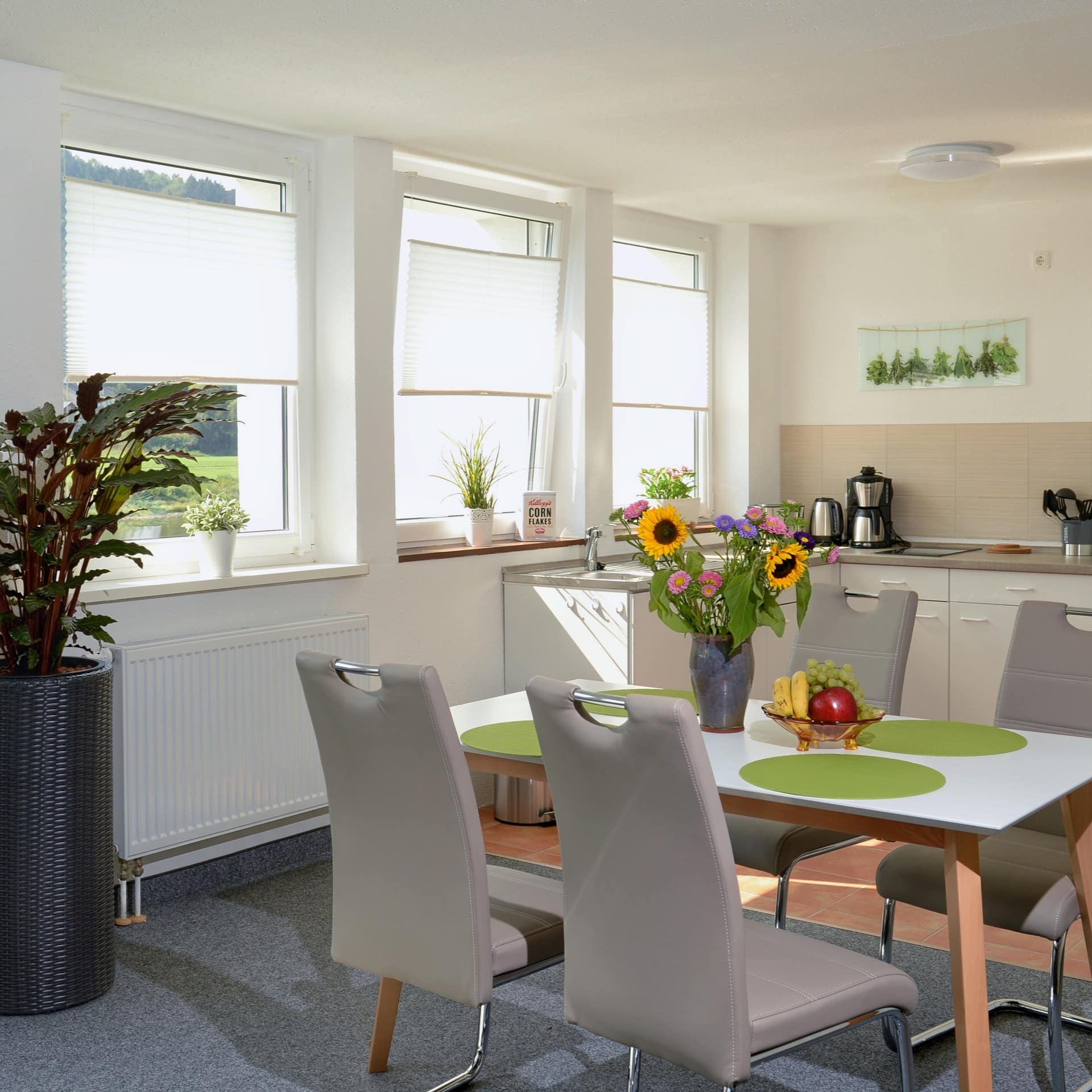 Wohnküche einer hell und freundlichen Ferienwohnung in Bad Schandau. 