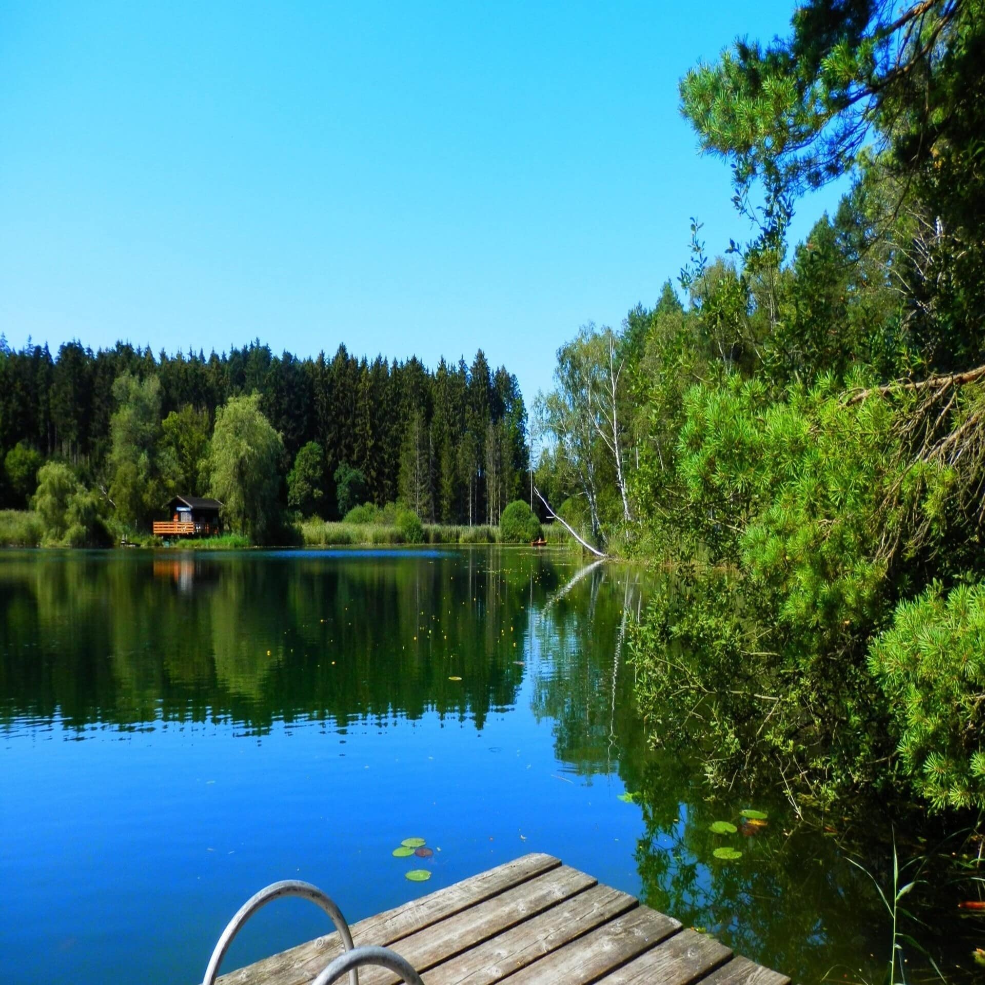 Blick von einem Badesteg auf einen See umgeben von Bäumen, auf der gegenüberliegenden Seite ein kleines Haus. 