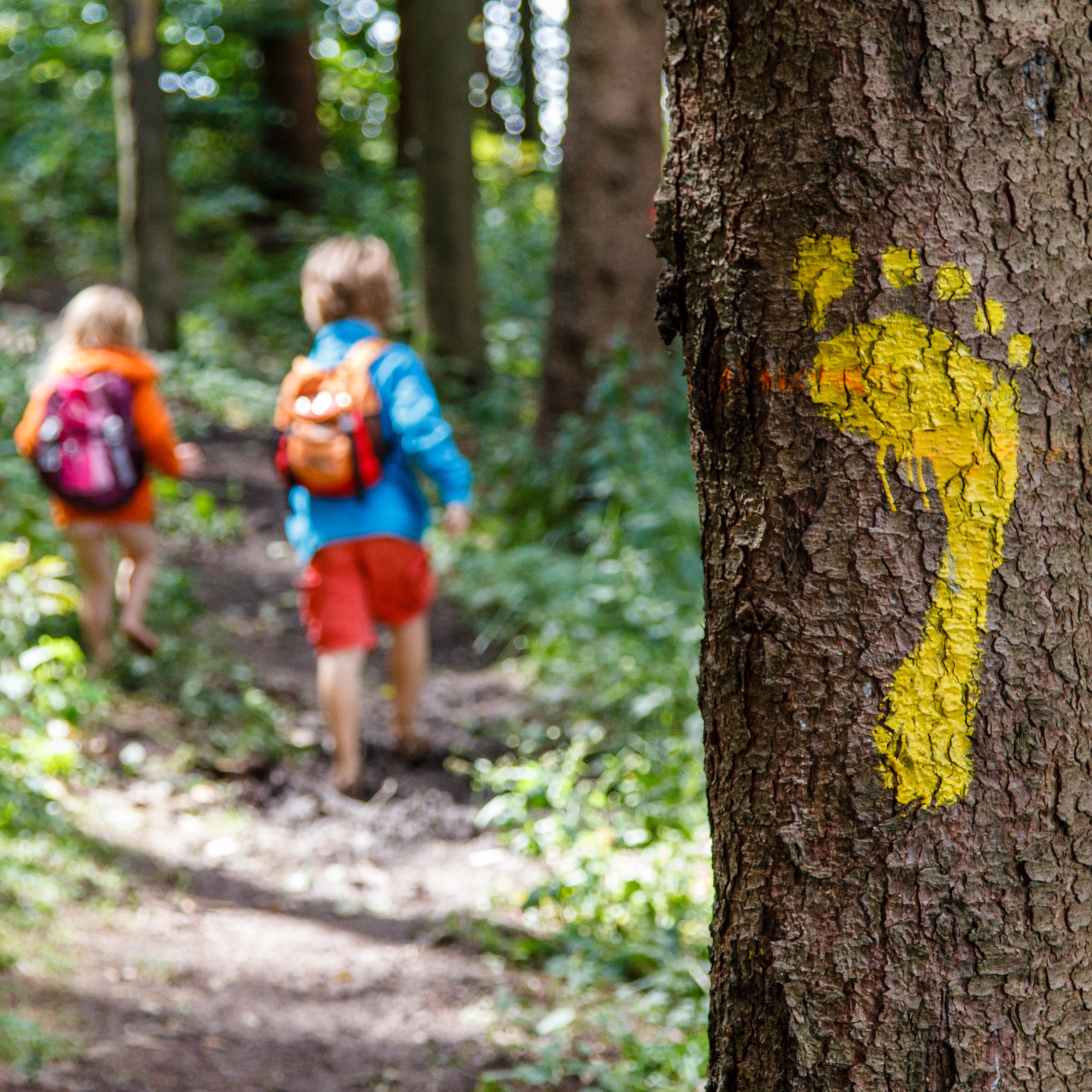 Ein Baum mit einem gelben Fußabdruck drauf, im Hintergrund 2 Kinder mit Rucksäcken.