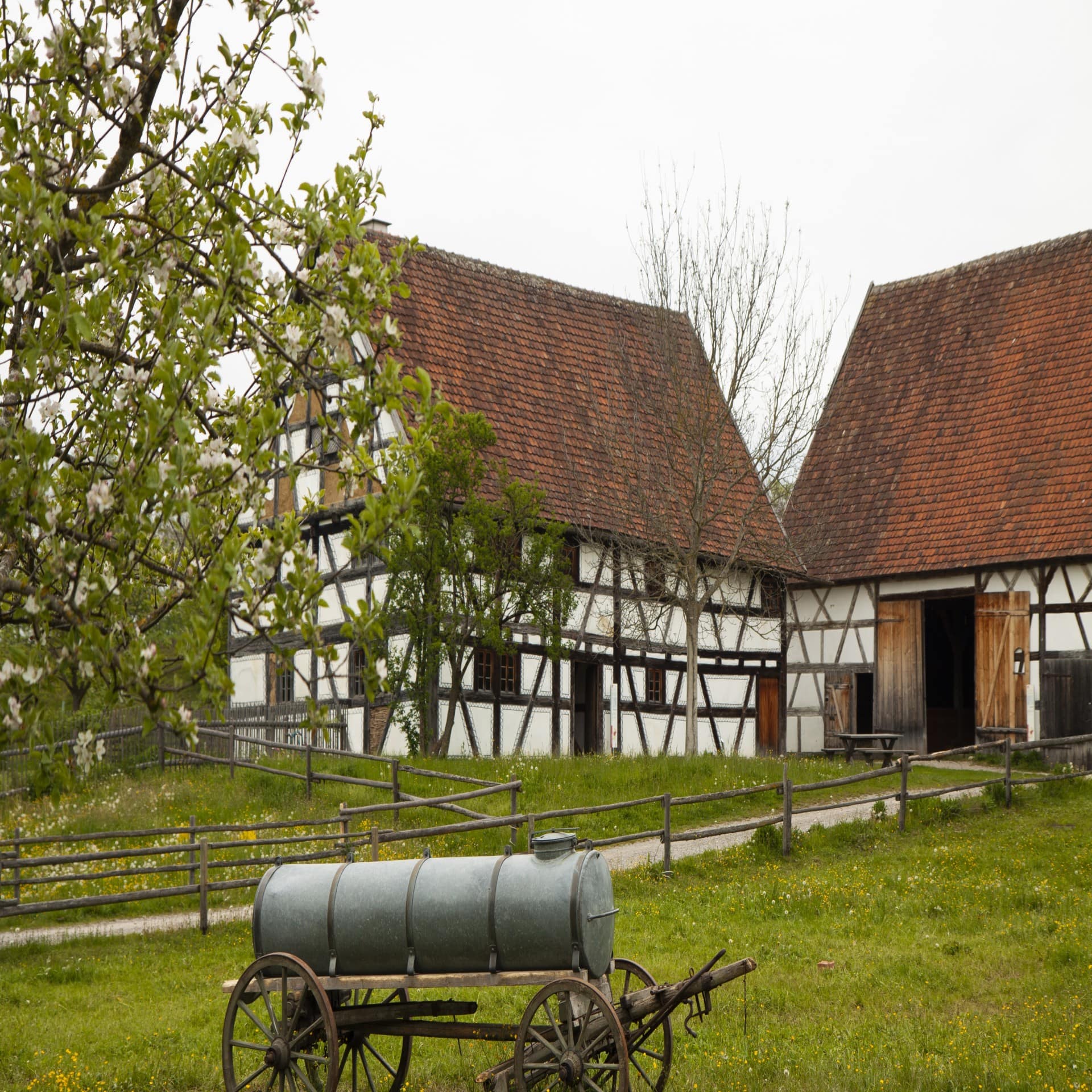 Fachwerk-Bauernhof, davor eine grüne Wiese, ein Wasserkarren und ein Baum. 