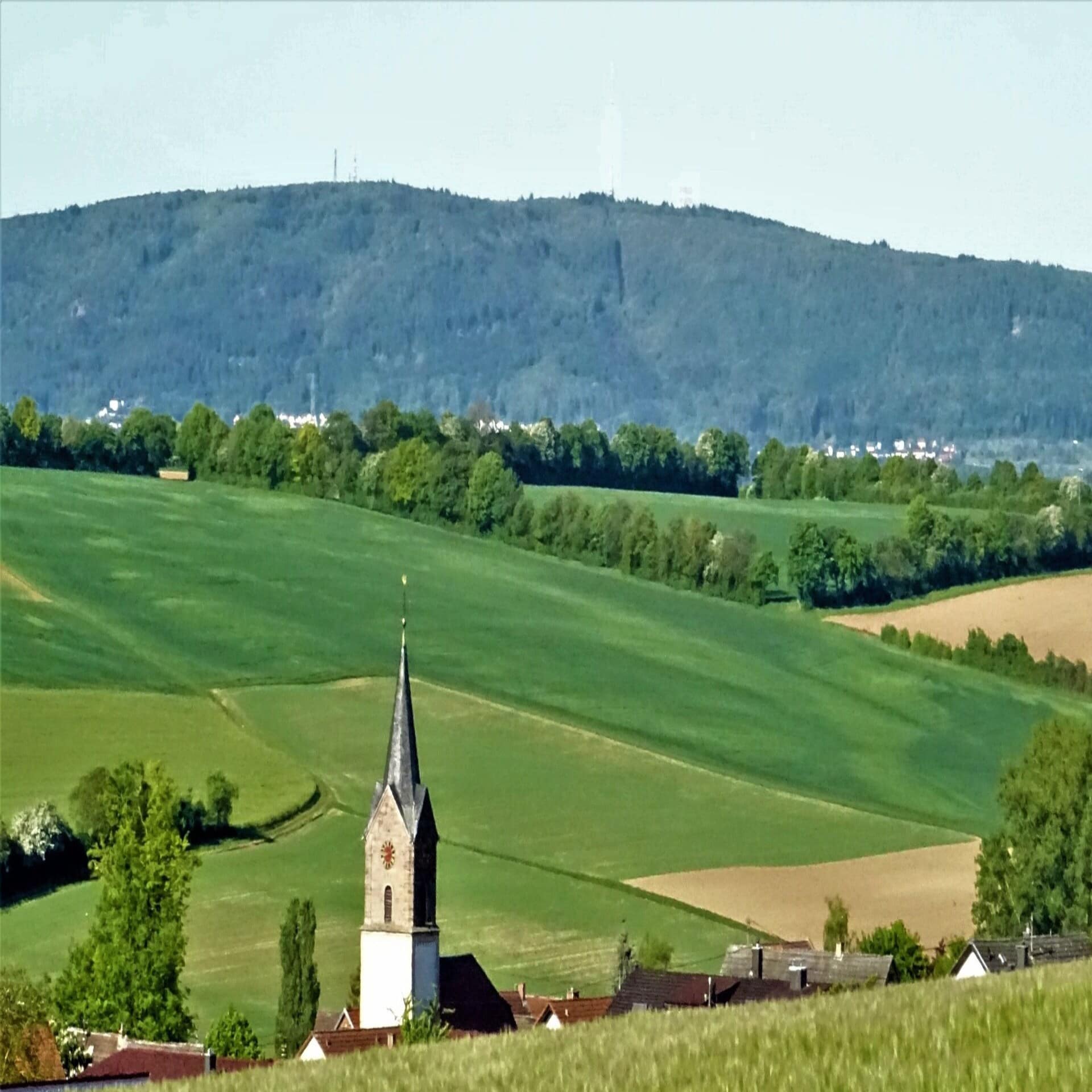 Blick über die Felder und einen Kirchturm in Bockenheim.
