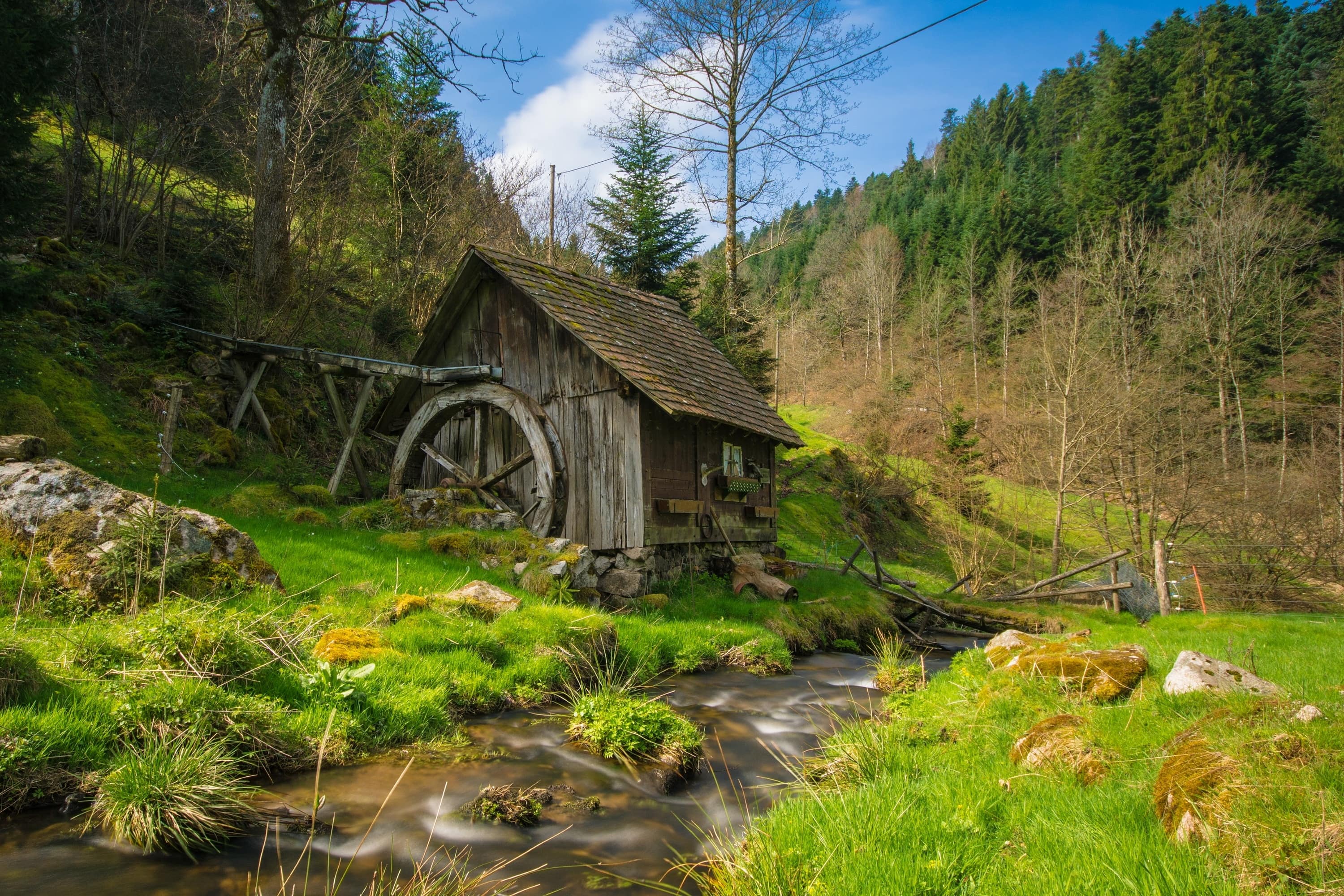 Natur pur – eine Hütte im Schwarzwald mieten