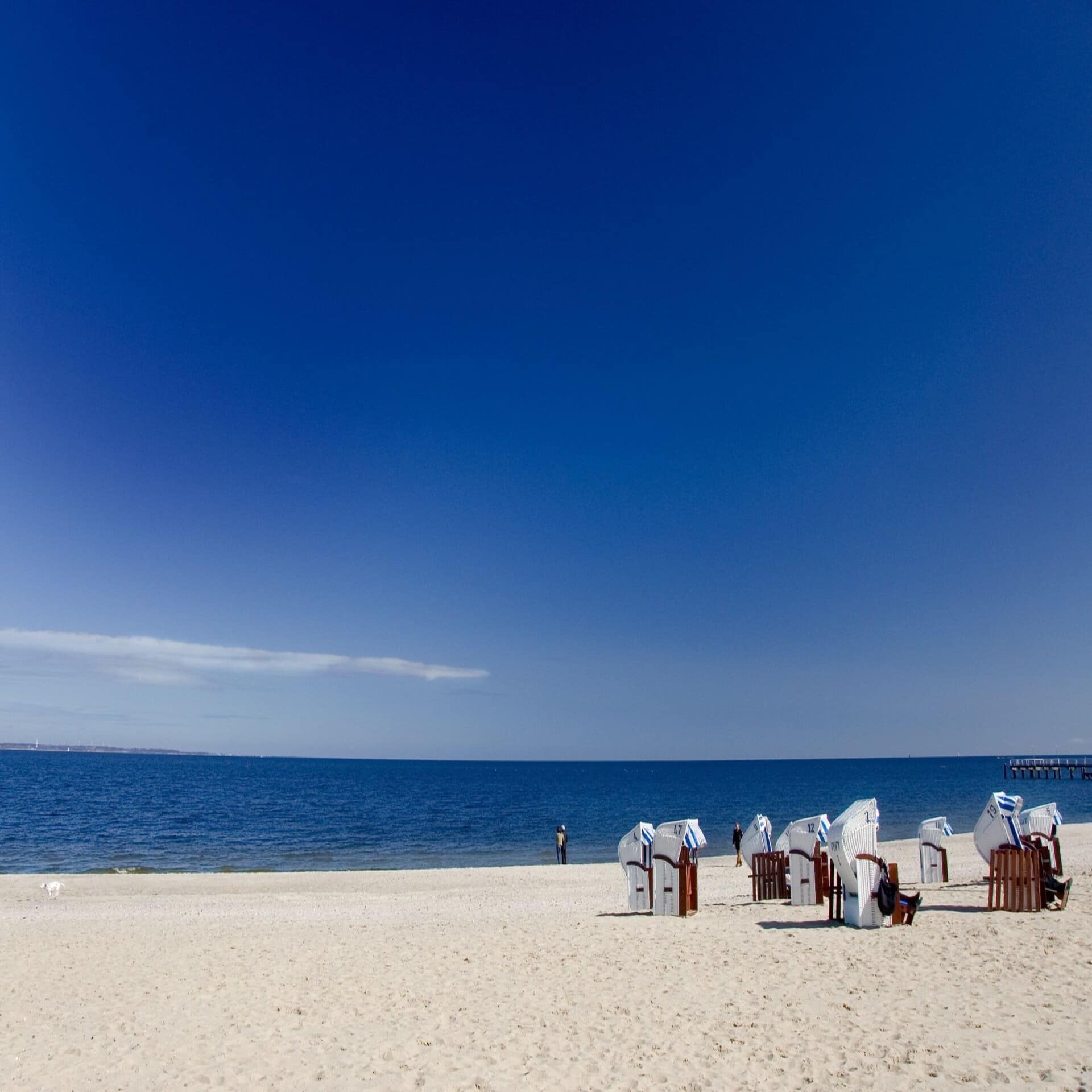Blick auf den Strand, Strandkörbe und das Meer bei strahlend blauem Himmel.