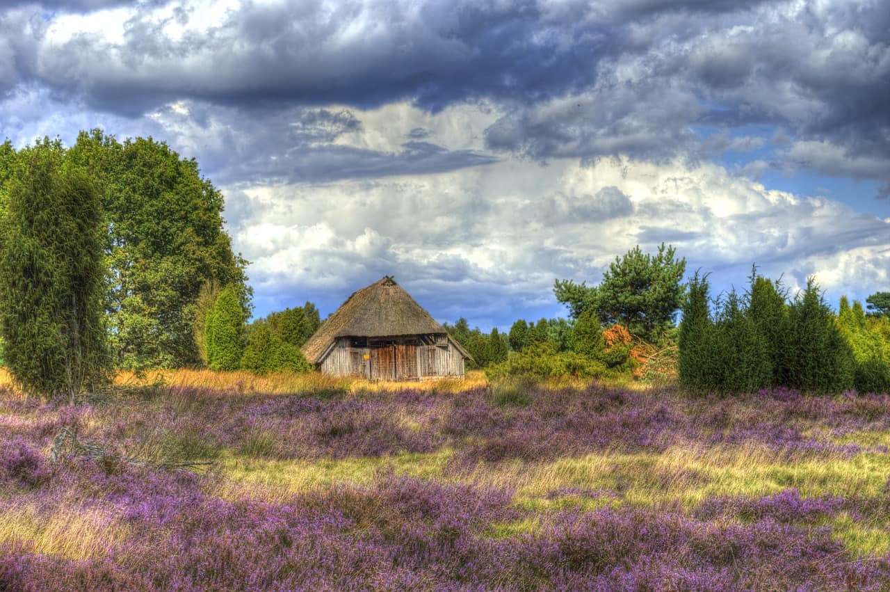 Mitten im Naturparadies – Ferienwohnungen in der Lüneburger Heide