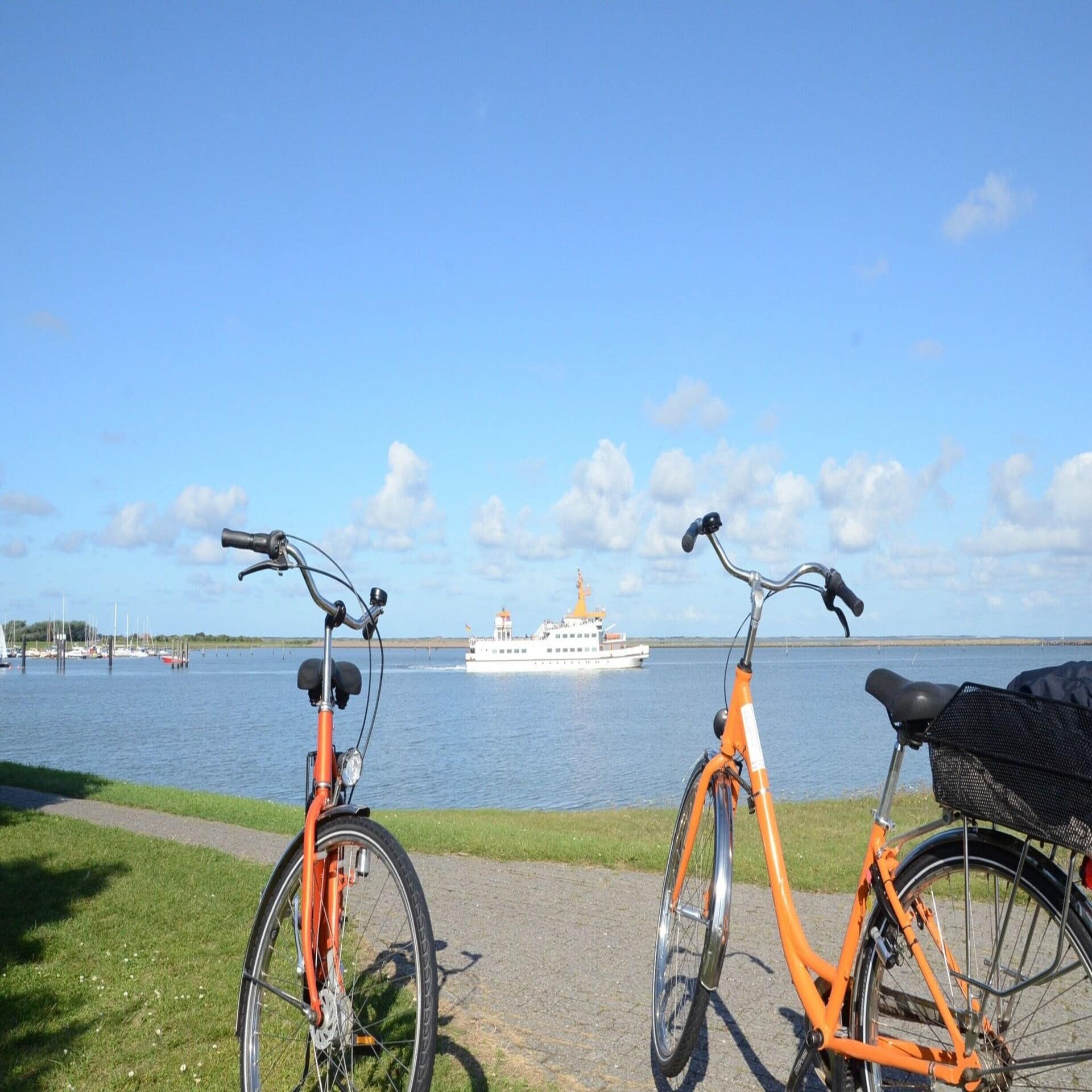 2 orange Fahrräder an einem sonnigen Tag auf einem Weg am Meer. Ein weißes Boot ist zu sehen.