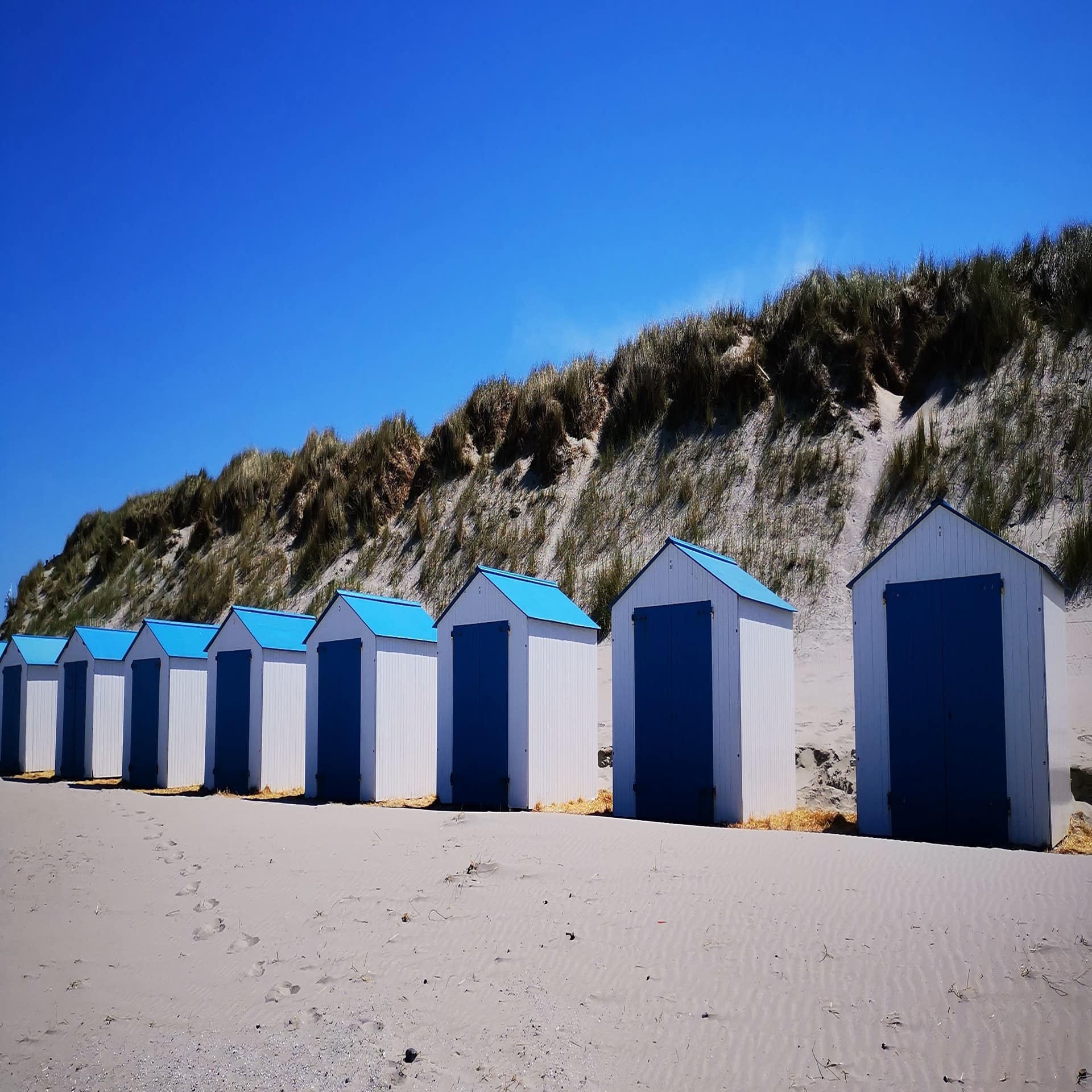 Kleine weiße Strandhäuschen mit blauen Dächern und Türen, dahinter einen Düne. 