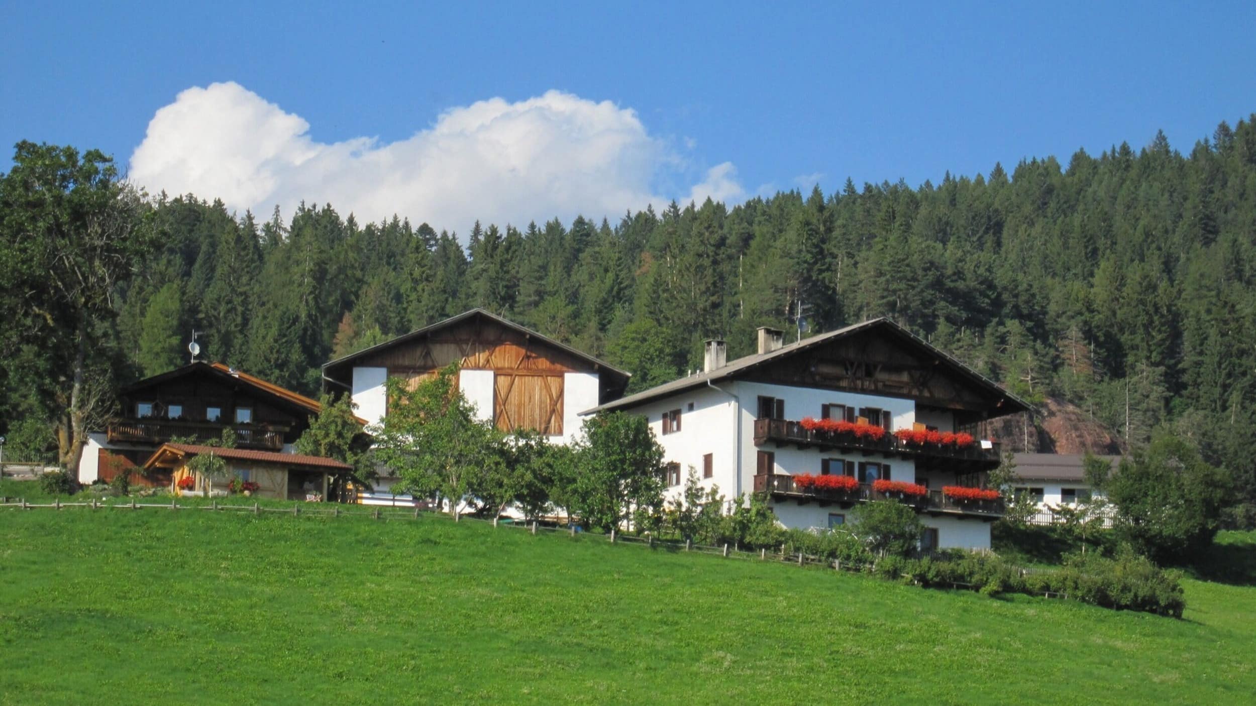 Den Sternen so nah – Bauernhofurlaub in Südtirol
