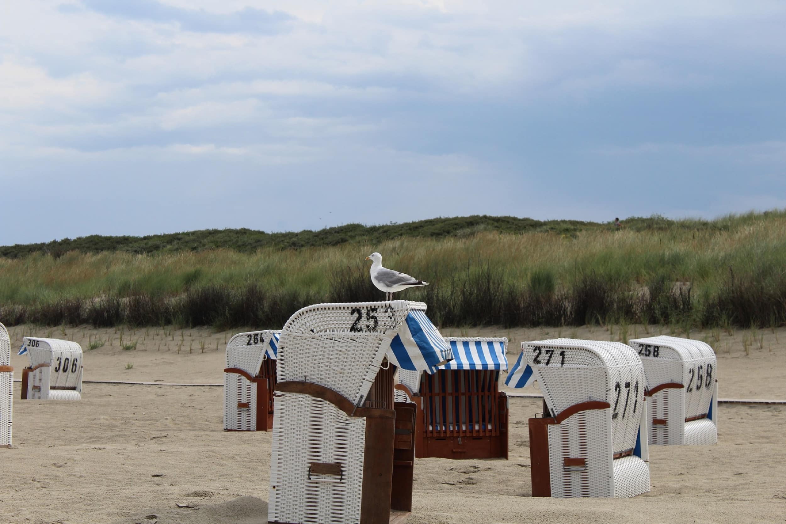 Ihre Ferienwohnung auf Spiekeroog – der grünen Insel