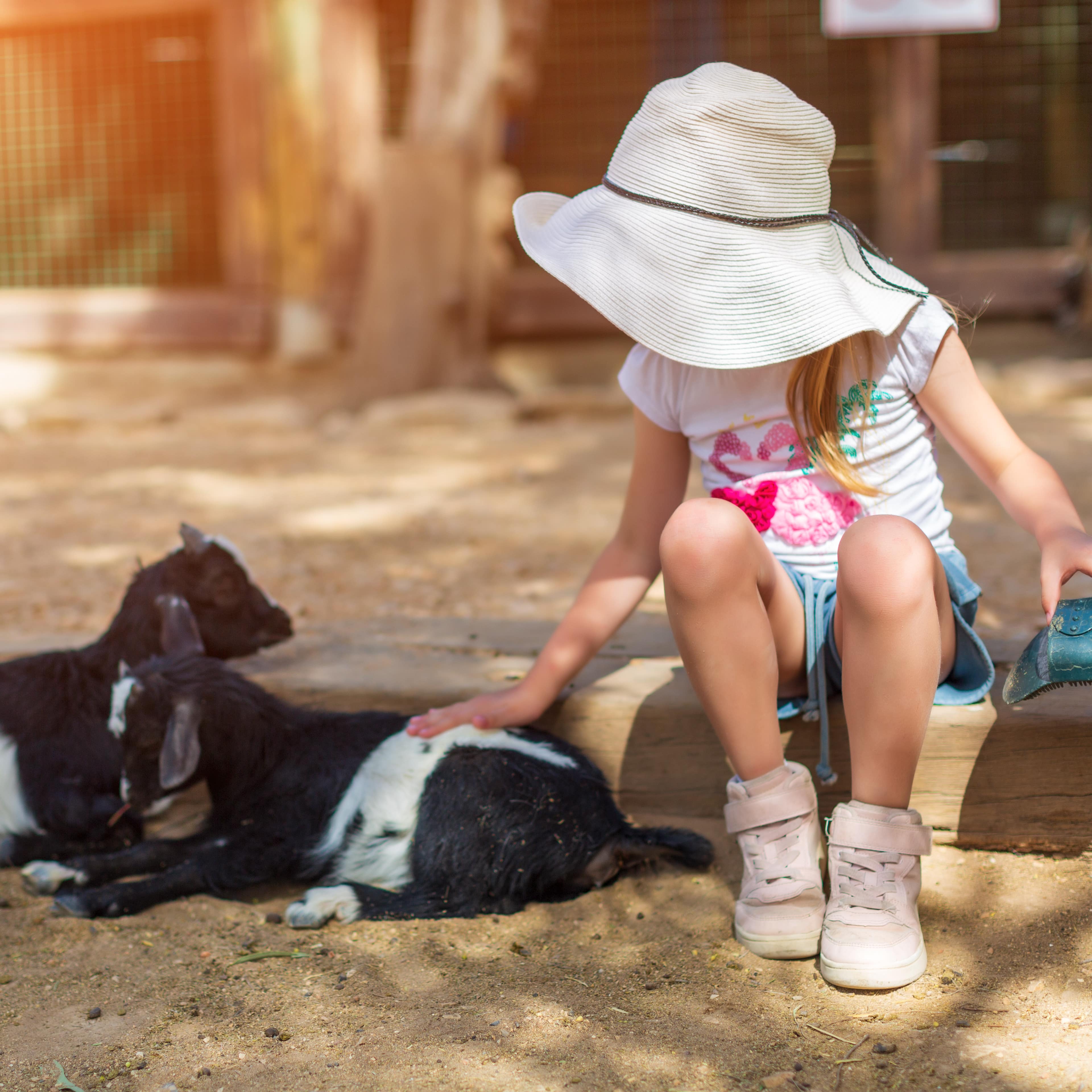 Kleines Mädchen in Sommerkleidung sitzt auf einem Balken und streichelt Zicklein. Sie trägt einen weißen Hut.
