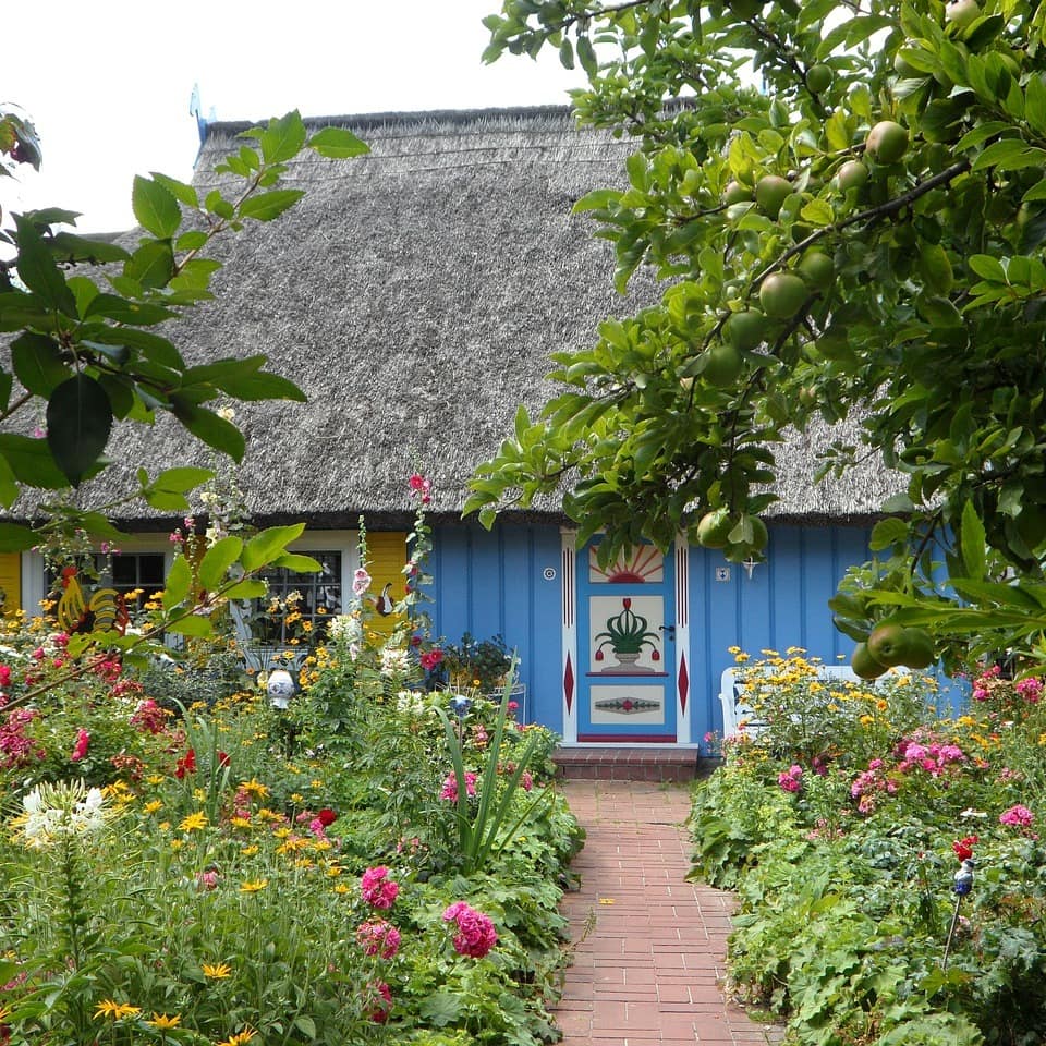 Ein Reetdach-Haus auf dem Darß mit blühendem Garten.
