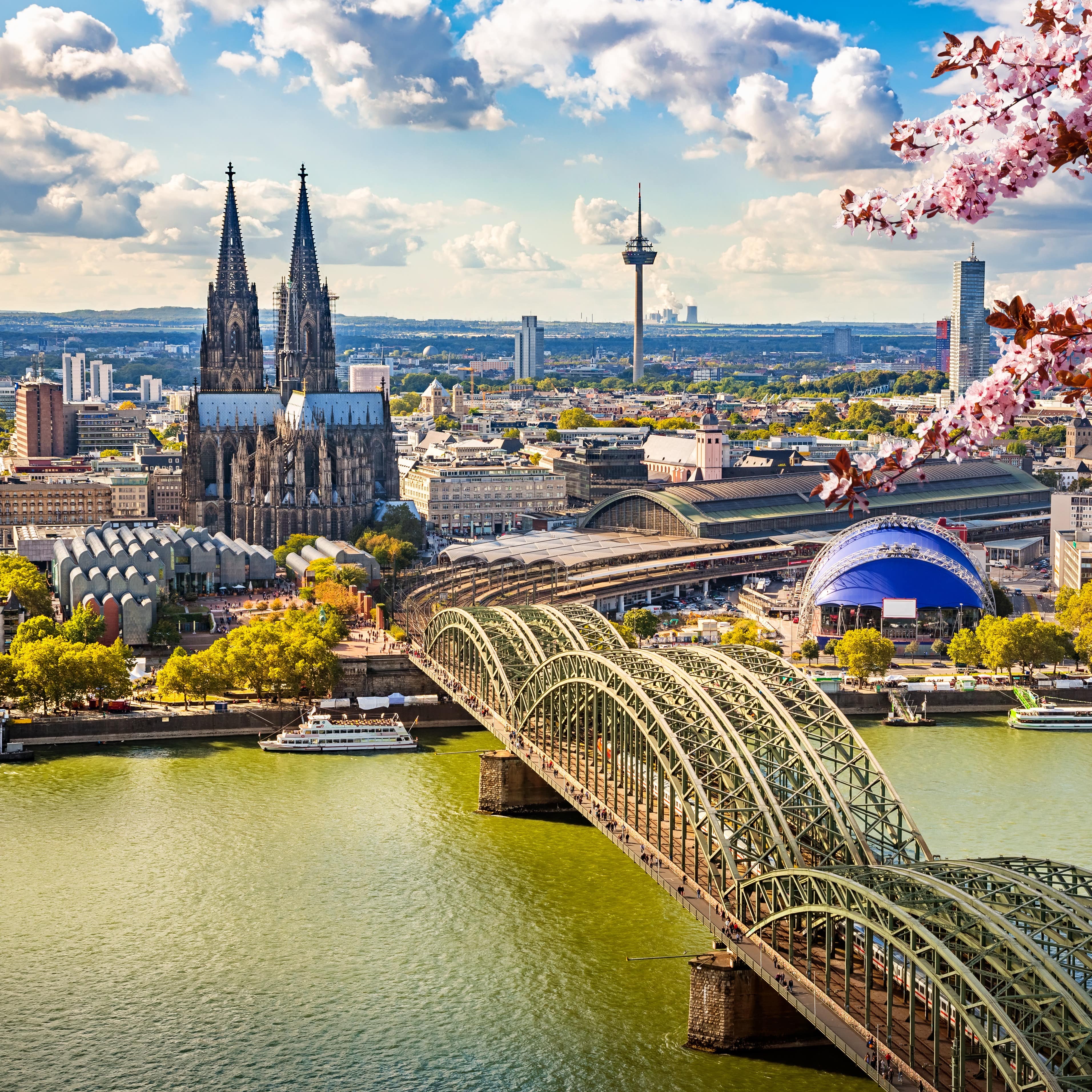 Panoramablick über Köln. Vorne der Rhein, in der Mitte der Dom. In der rechten Ecke ein blühender Zweig.