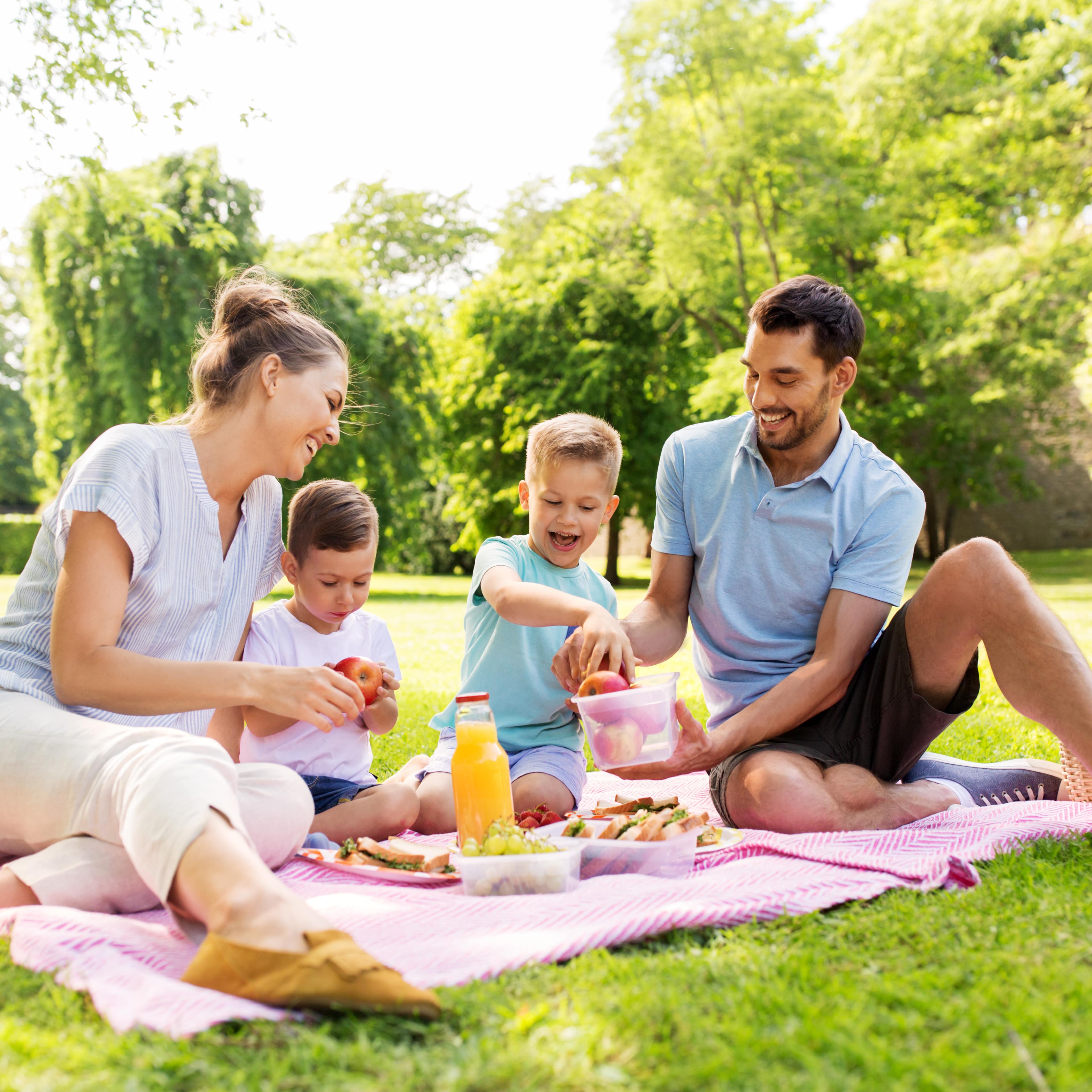 Eltern mit 2 Söhnen in Sommerkleidung machen ein Picknick auf einer Wiese in einem Park.