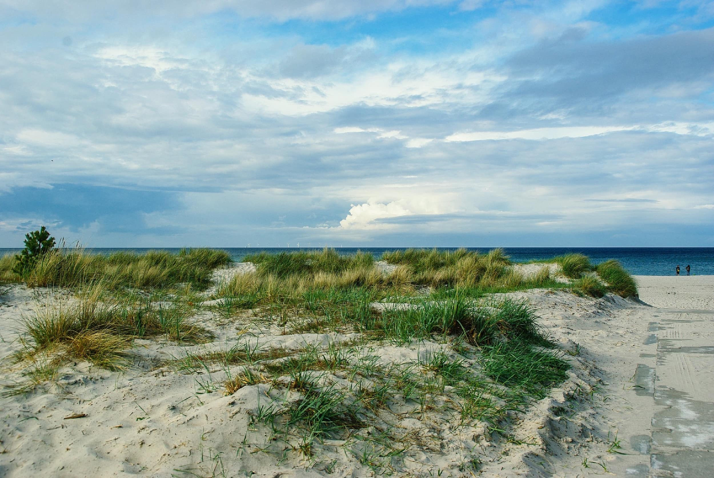 Ihre Ferienwohnung in Prerow – Urlaub auf dem Darß