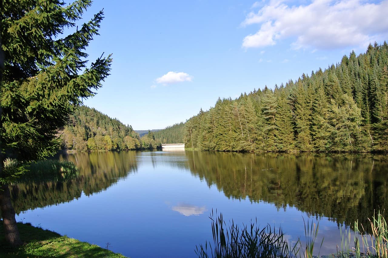 harzsee in saxony