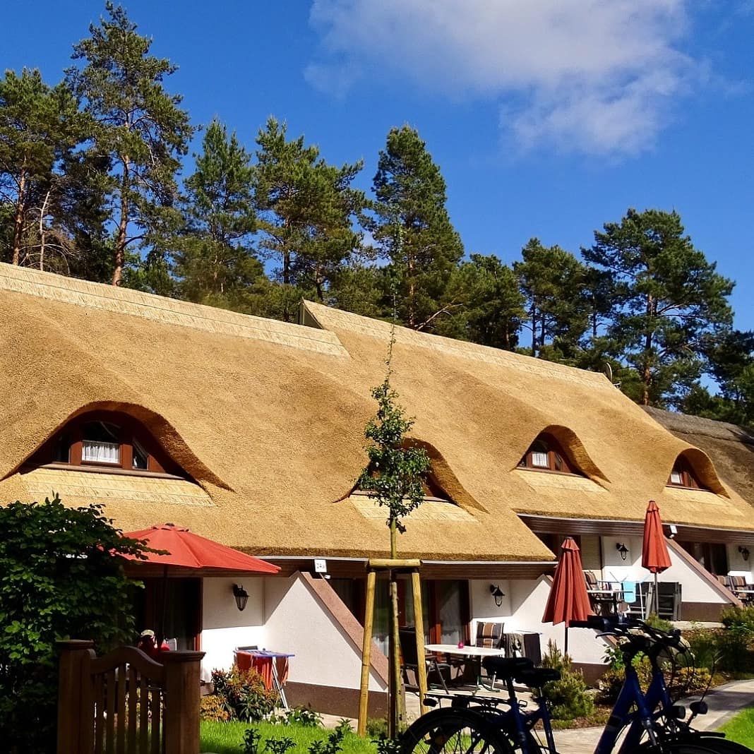 Sandboden, Kiefernwälder, blauer Himmel und Reetdach – in dieser Idylle liegen gleich mehrere Ferienwohnungen nebeneinander.