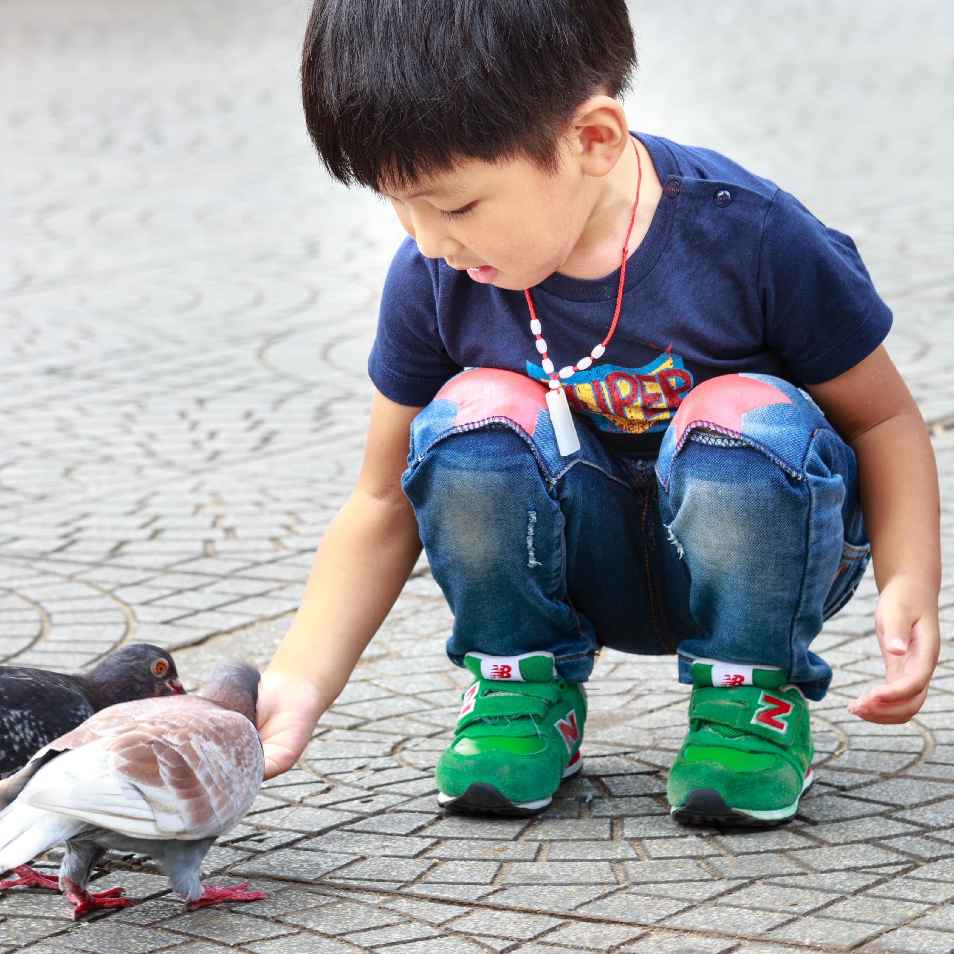 Ein Junge füttert Tauben.