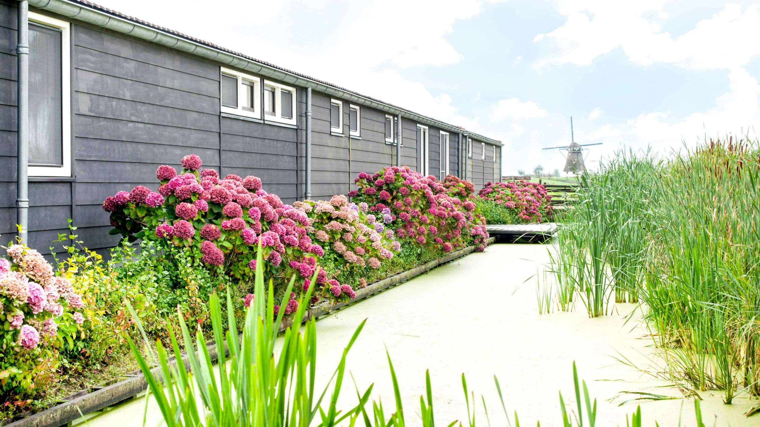 Kleines Land mit großem Charme: Bungalow in den Niederlanden