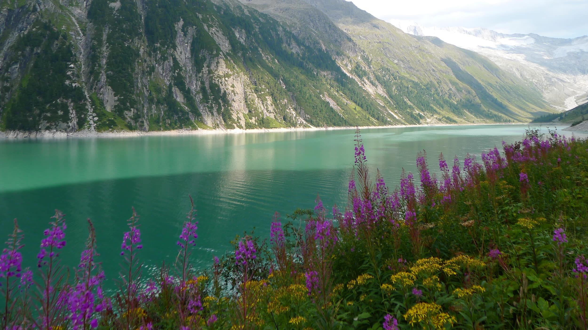 Urlaub mit Hund in Österreich