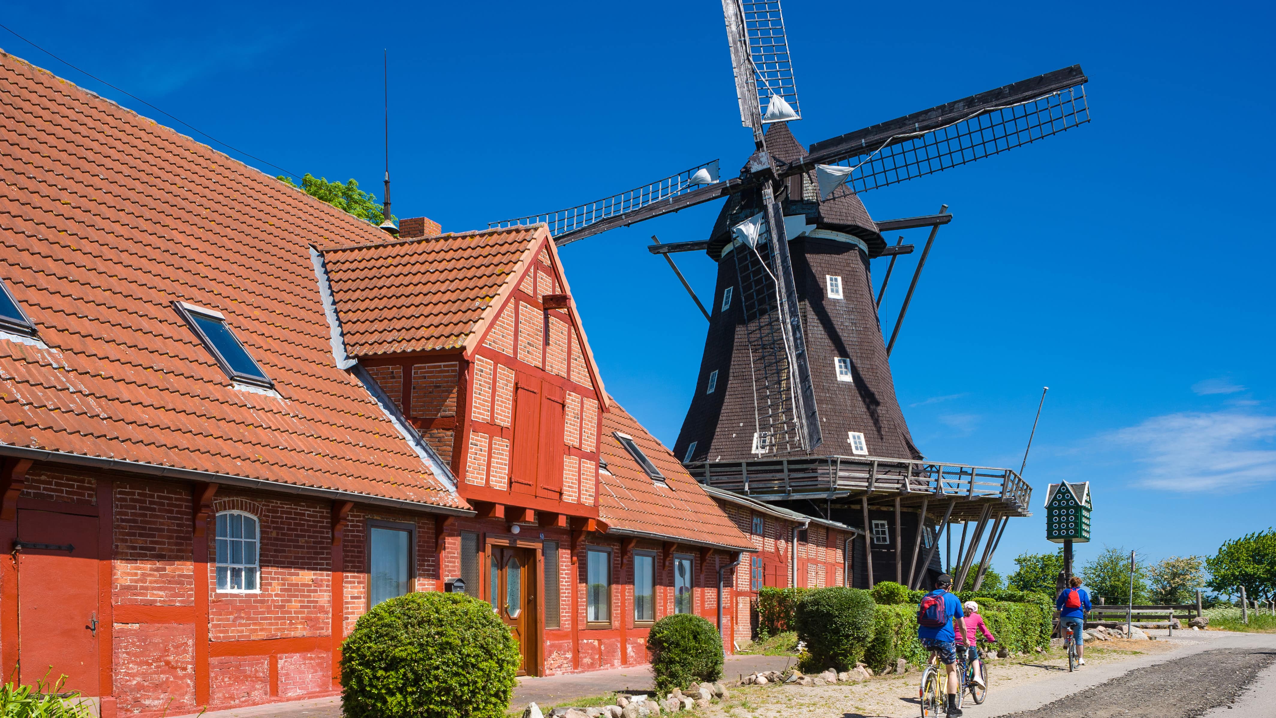 12 tolle Tipps für Ausflüge mit Kindern in Schleswig-Holstein