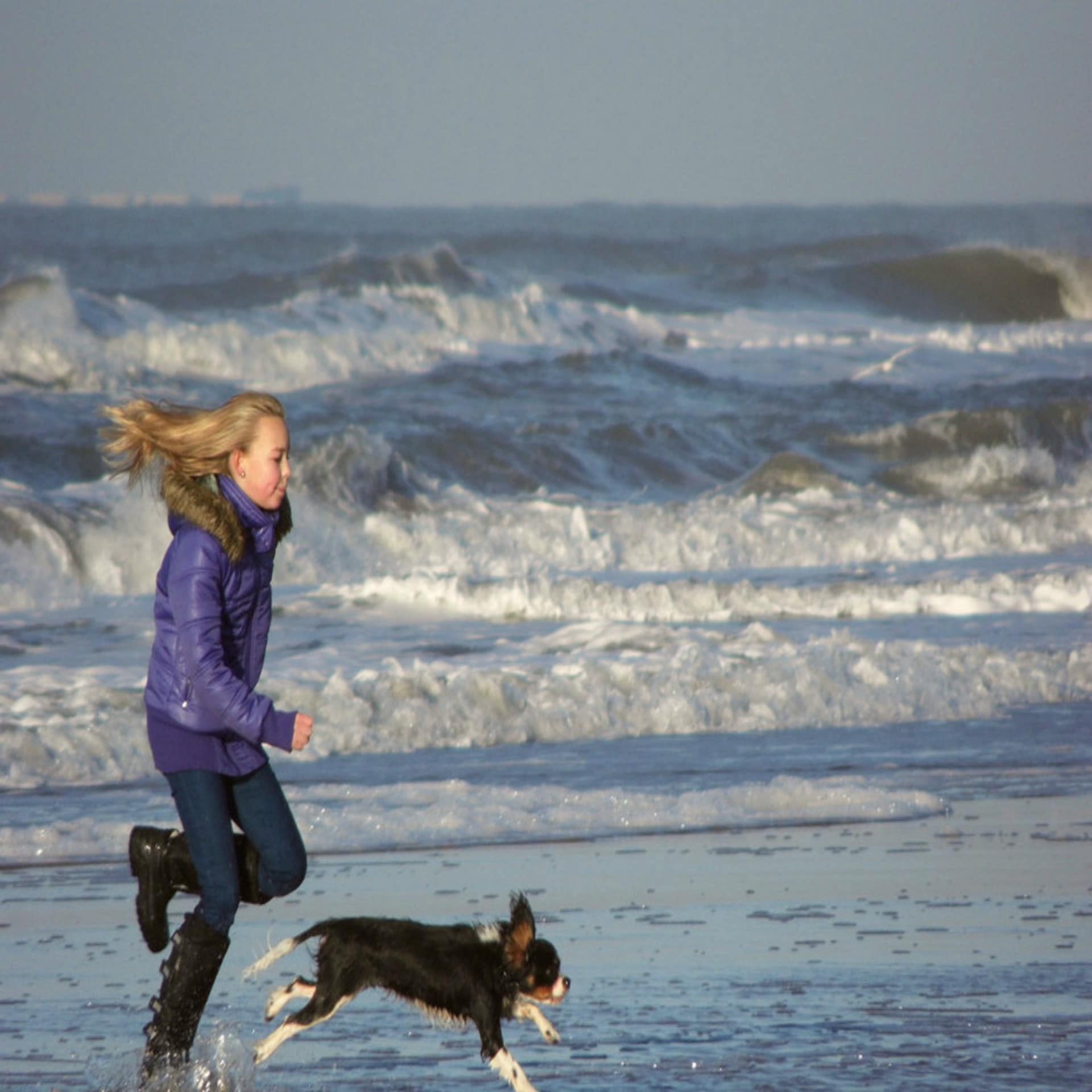 Ein blondes Mädchen mit lila Jacke rennt mit einem kleinen Hund am Wasser entlang. 