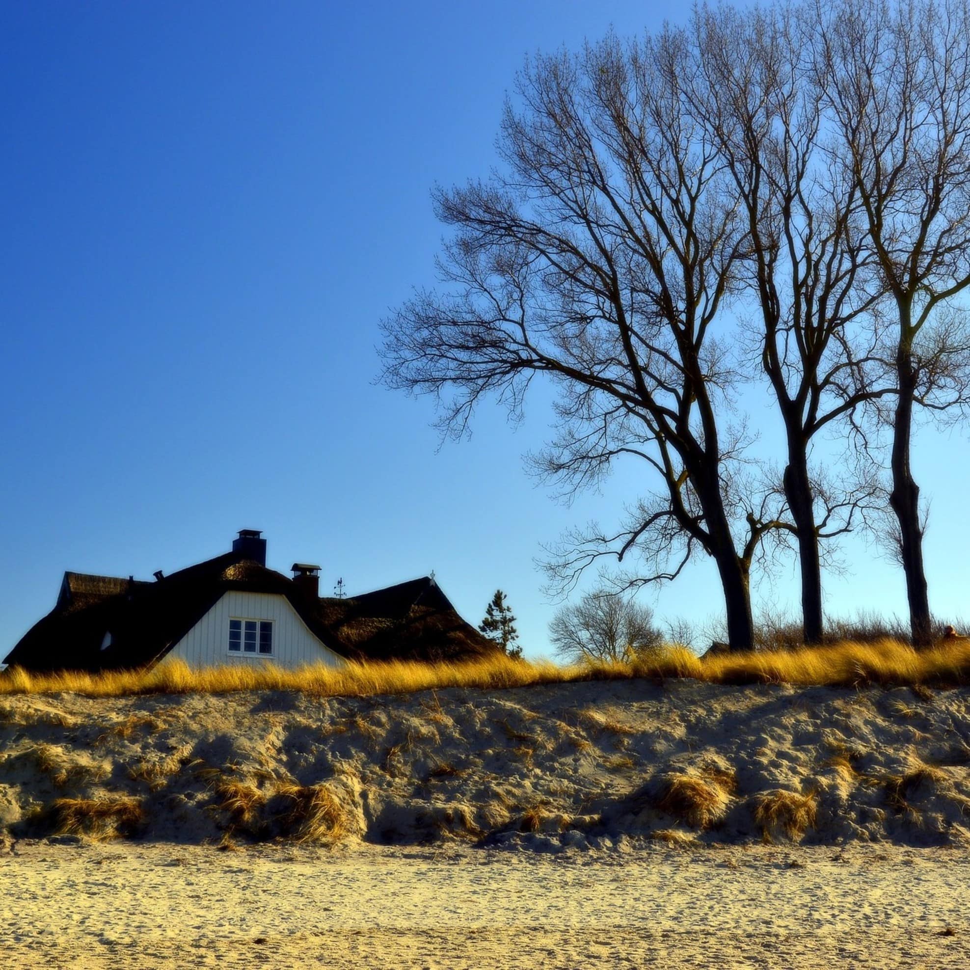 Blick vom Strand auf einen Bungalow