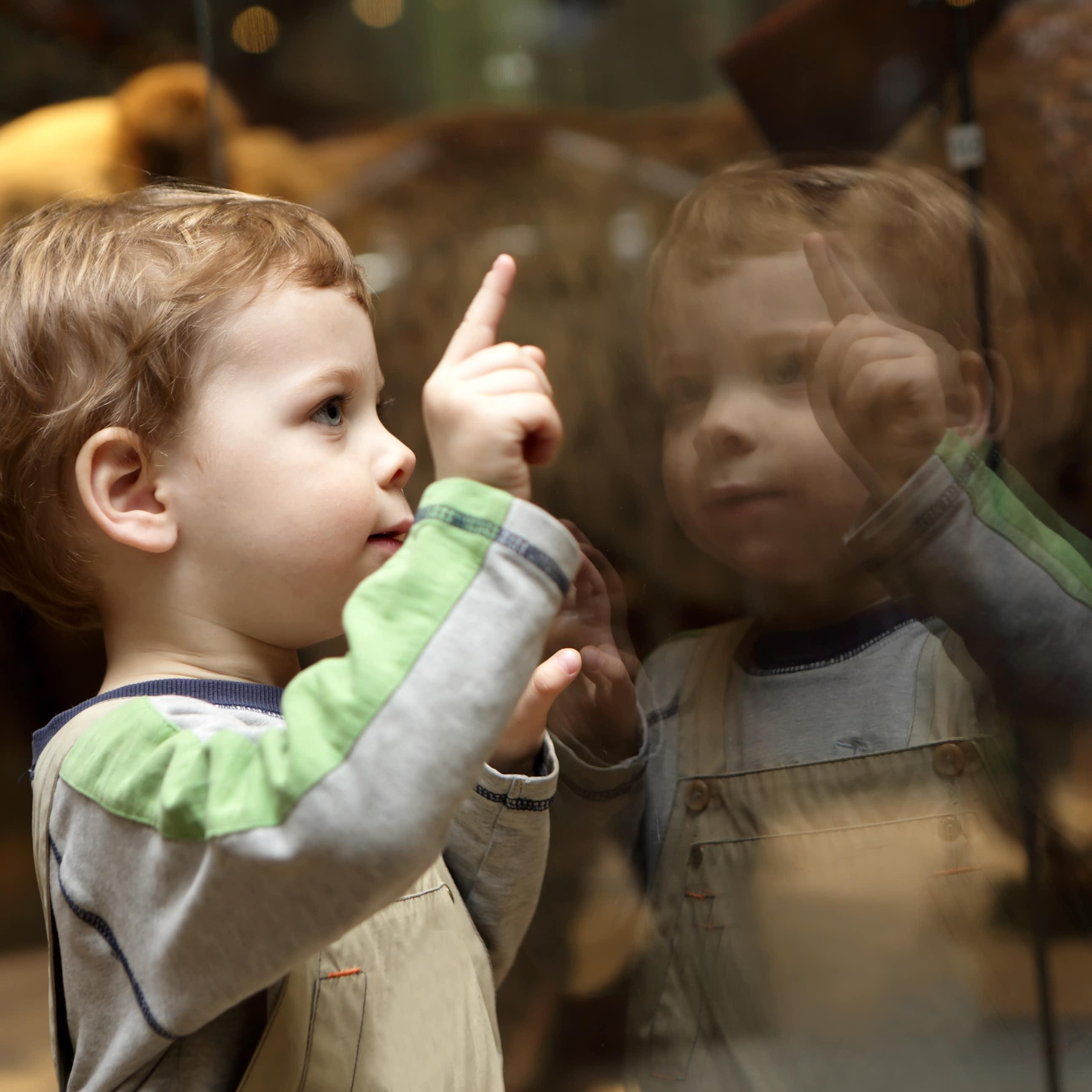 Nahaufnahme: Ein kleiner Junge steht vor einer Vitrine im Museum und zeigt auf etwas.