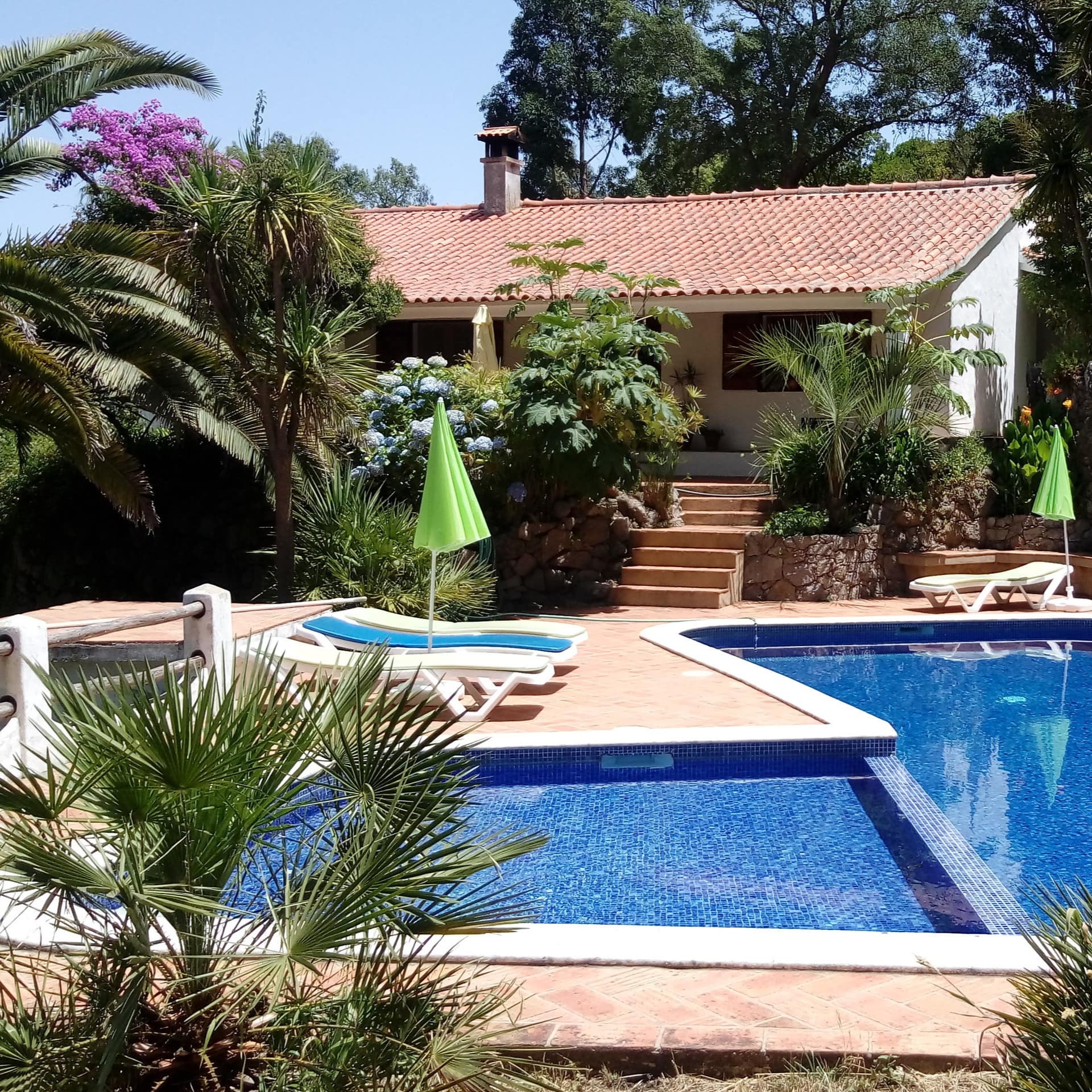 Ein Ferienhaus bei Monchique, Portugal mit Pool und Sonnenliegen im Garten