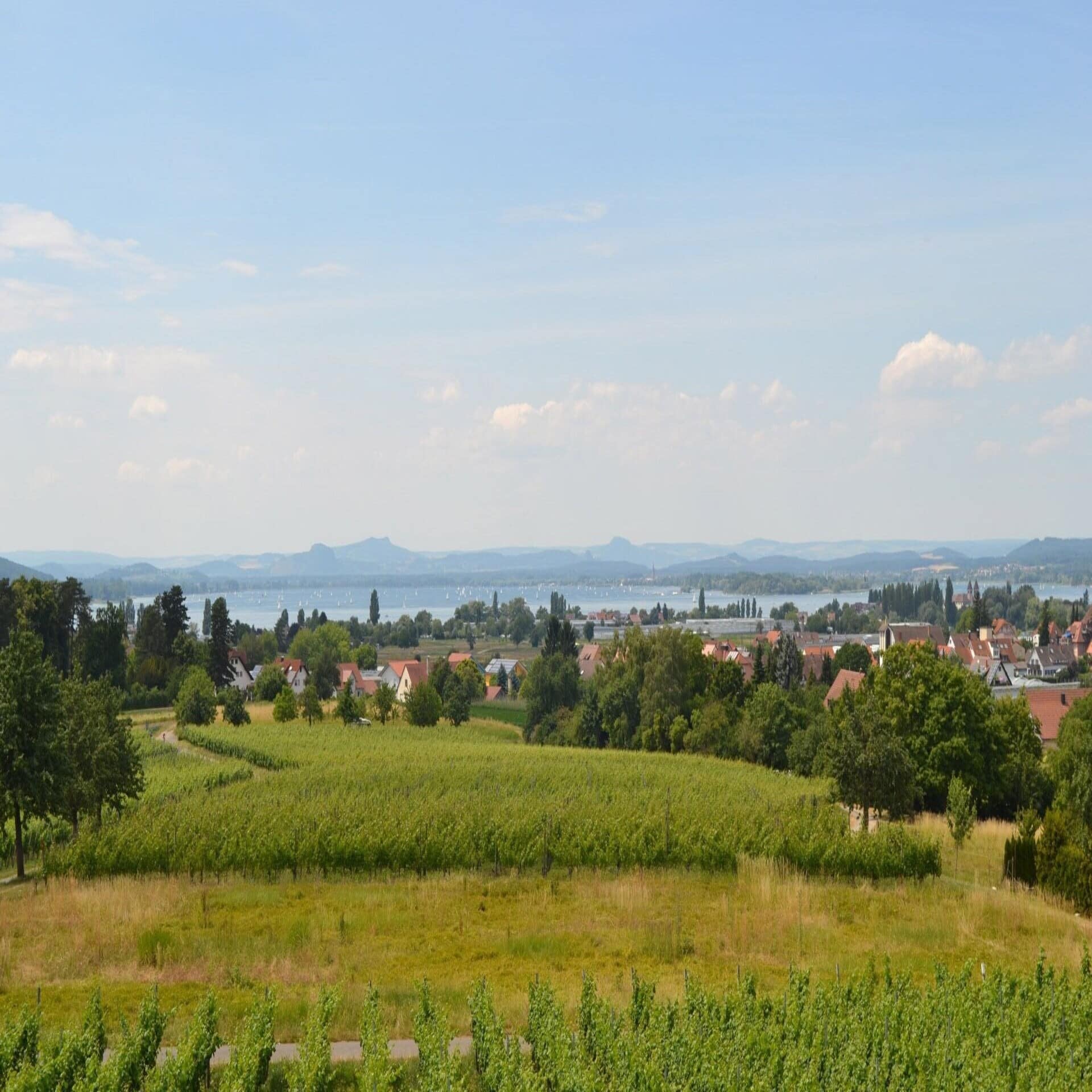 Panoramablick auf der Insel Reichenau.