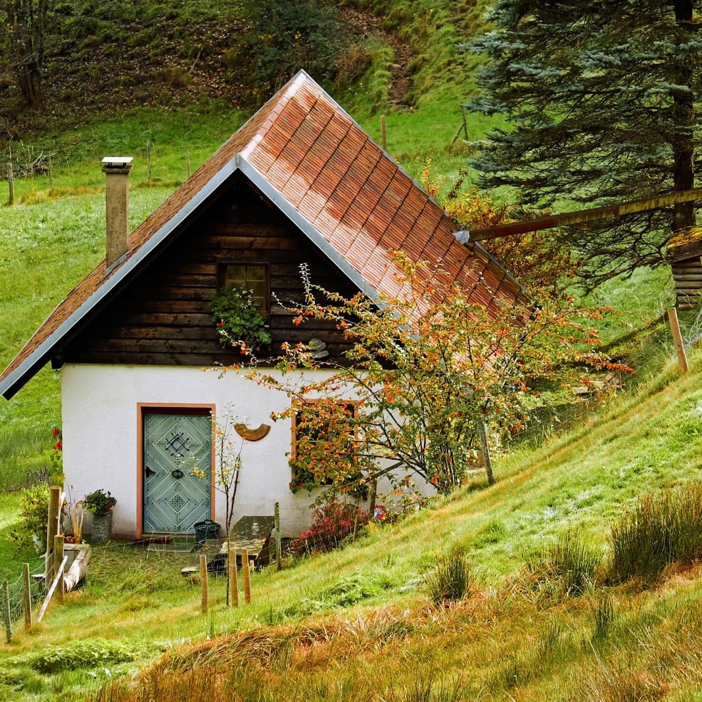 Ein kleines Haus auf einer Wiese am Hang inmitten der Natur