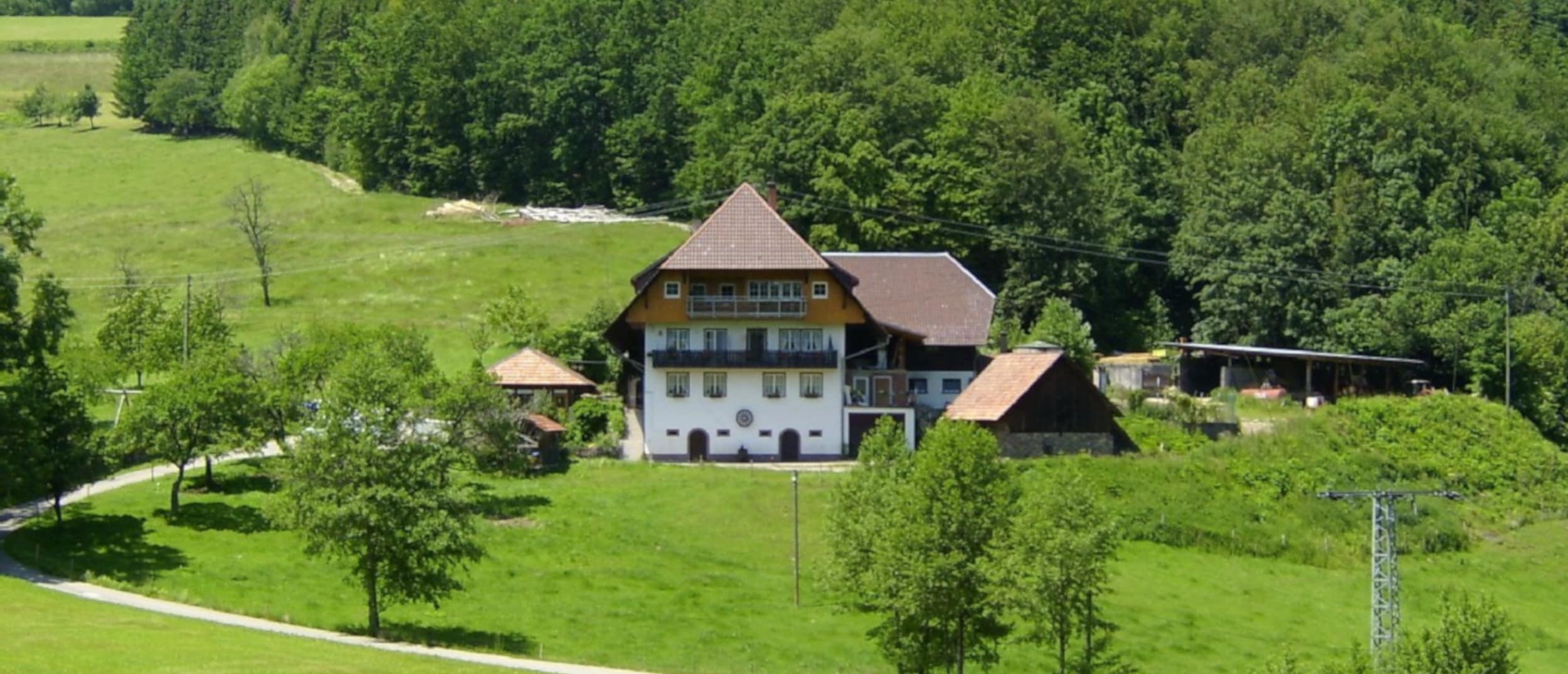 Natur pur in einer Ferienwohnung im Schwarzwald