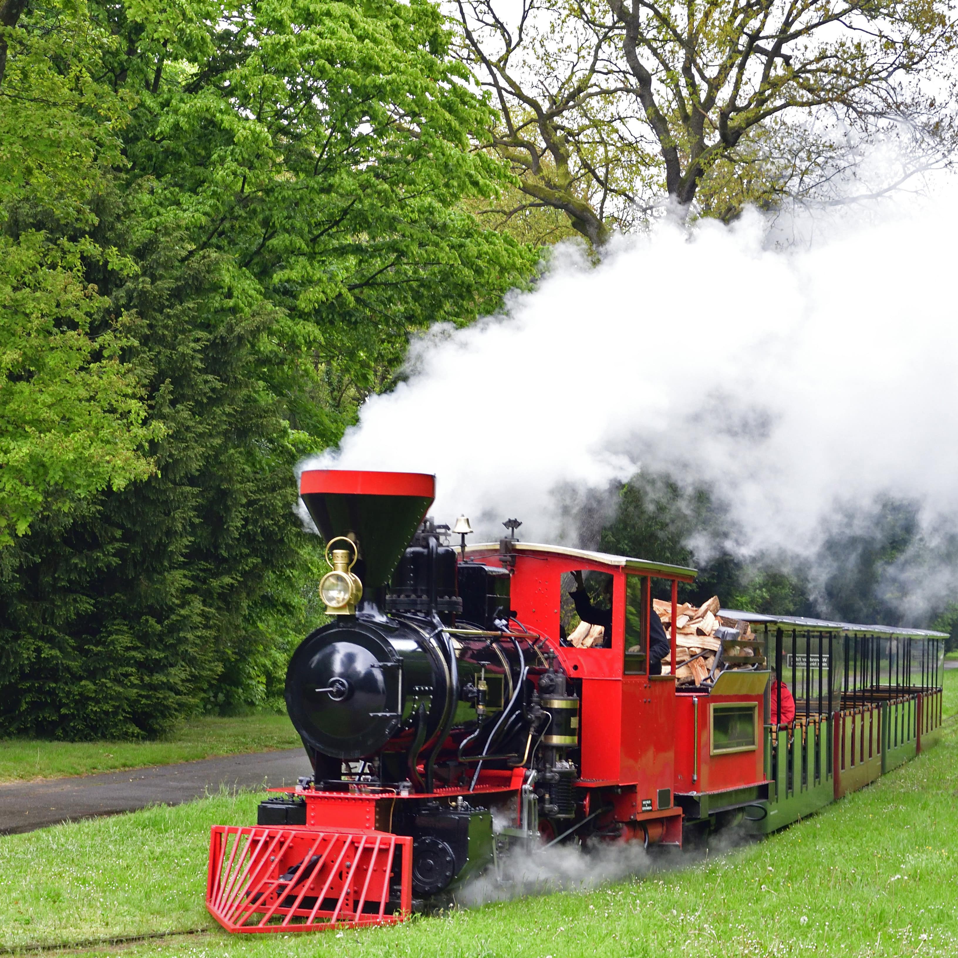 Die rot-schwarze Schlossgartenbahn tuckert durch den Schlosspark.