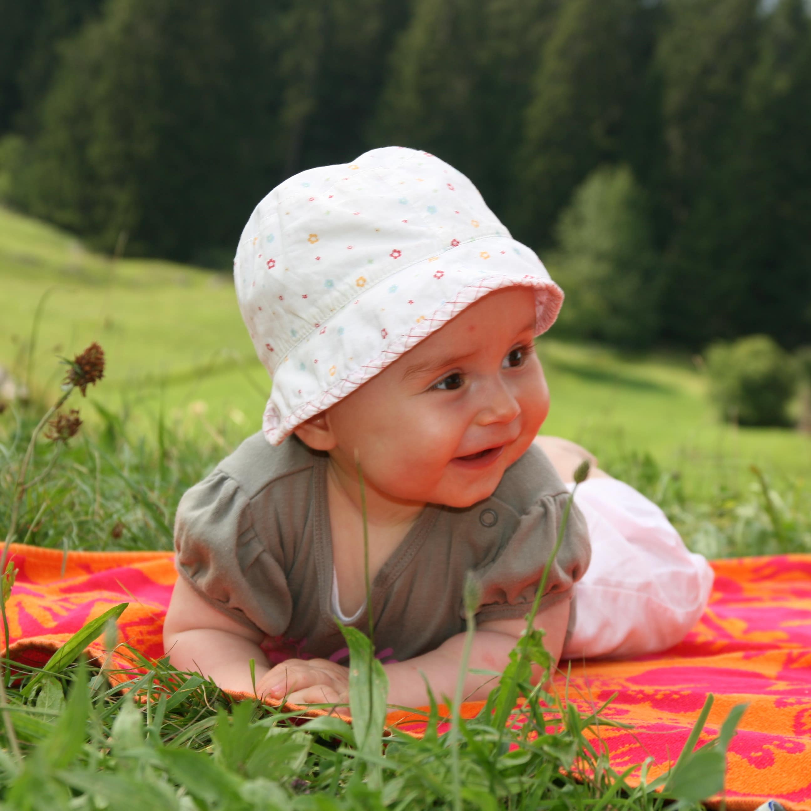 Ein Baby auf einer Decke auf einer Wiese