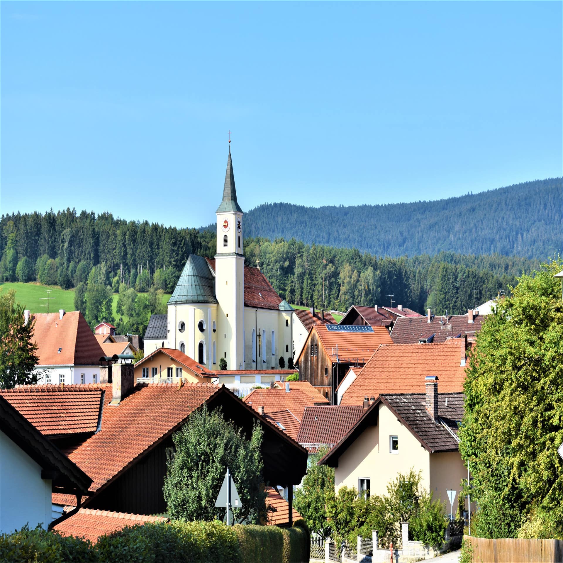 Blick über die Gemeinde Bischofsmais mit Kirche. Dahinter der grüne Wald. 