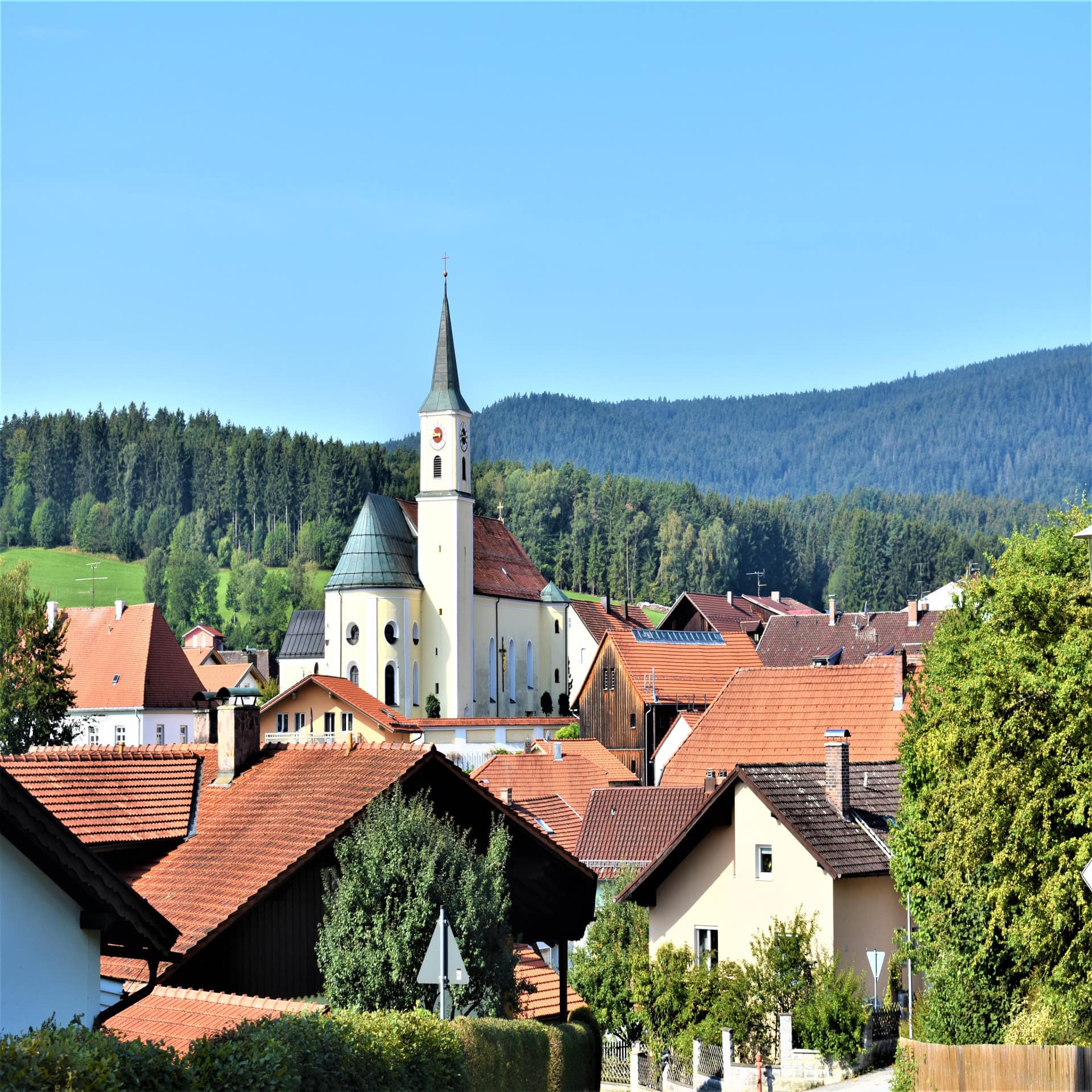 Blick über die Gemeinde Bischofsmais mit Kirche. Dahinter der grüne Wald.