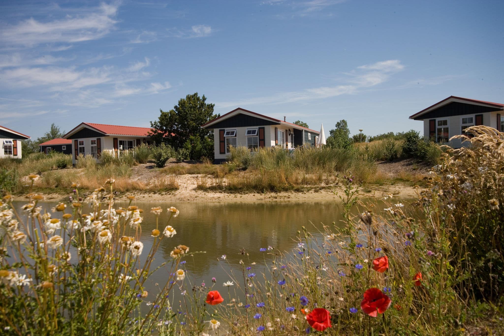 Chalets auf Texel mieten und Traumurlaub machen