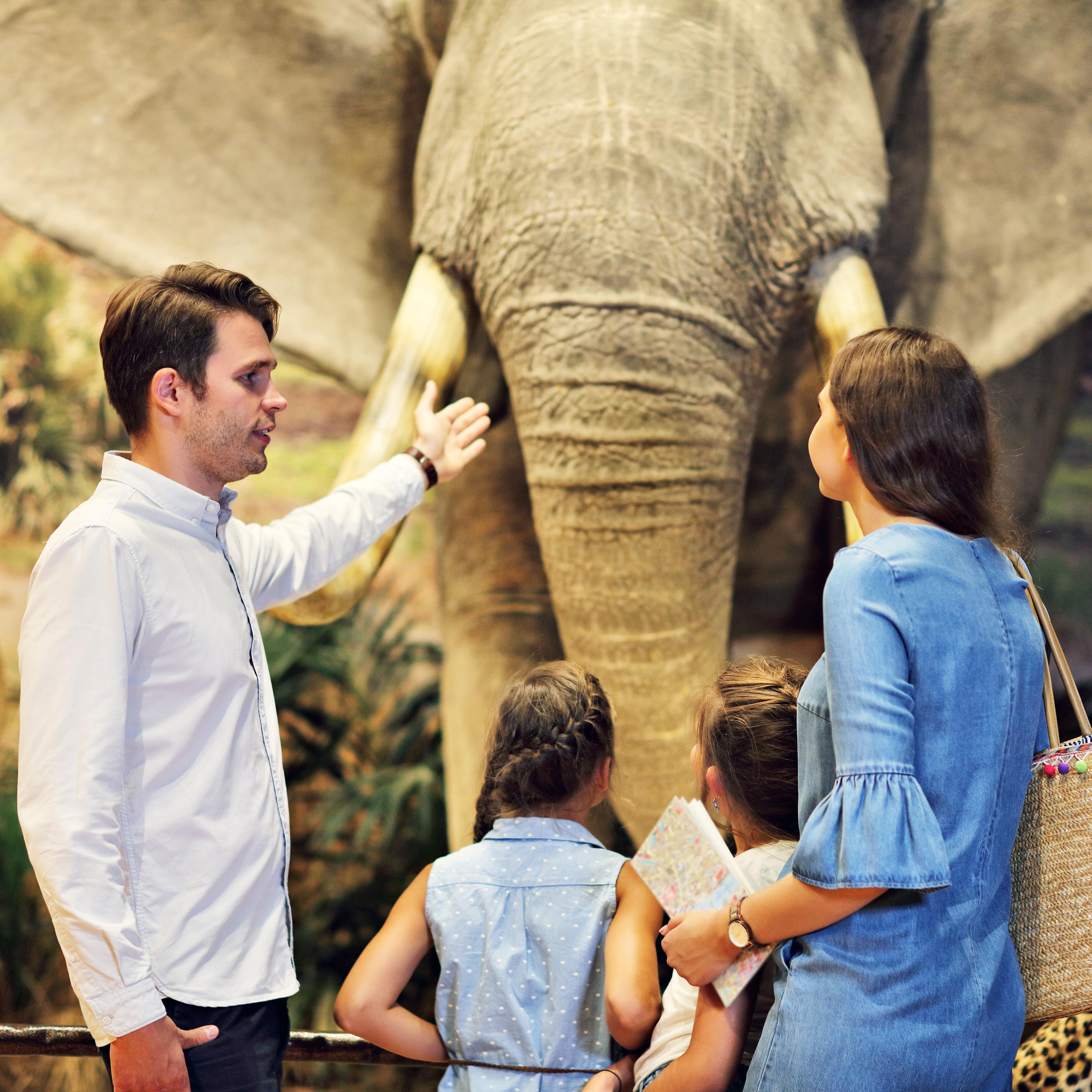 Eltern mit 2 Töchtern schaut in einem Naturkundemuseum einen ausgestopften Elefanten an. 