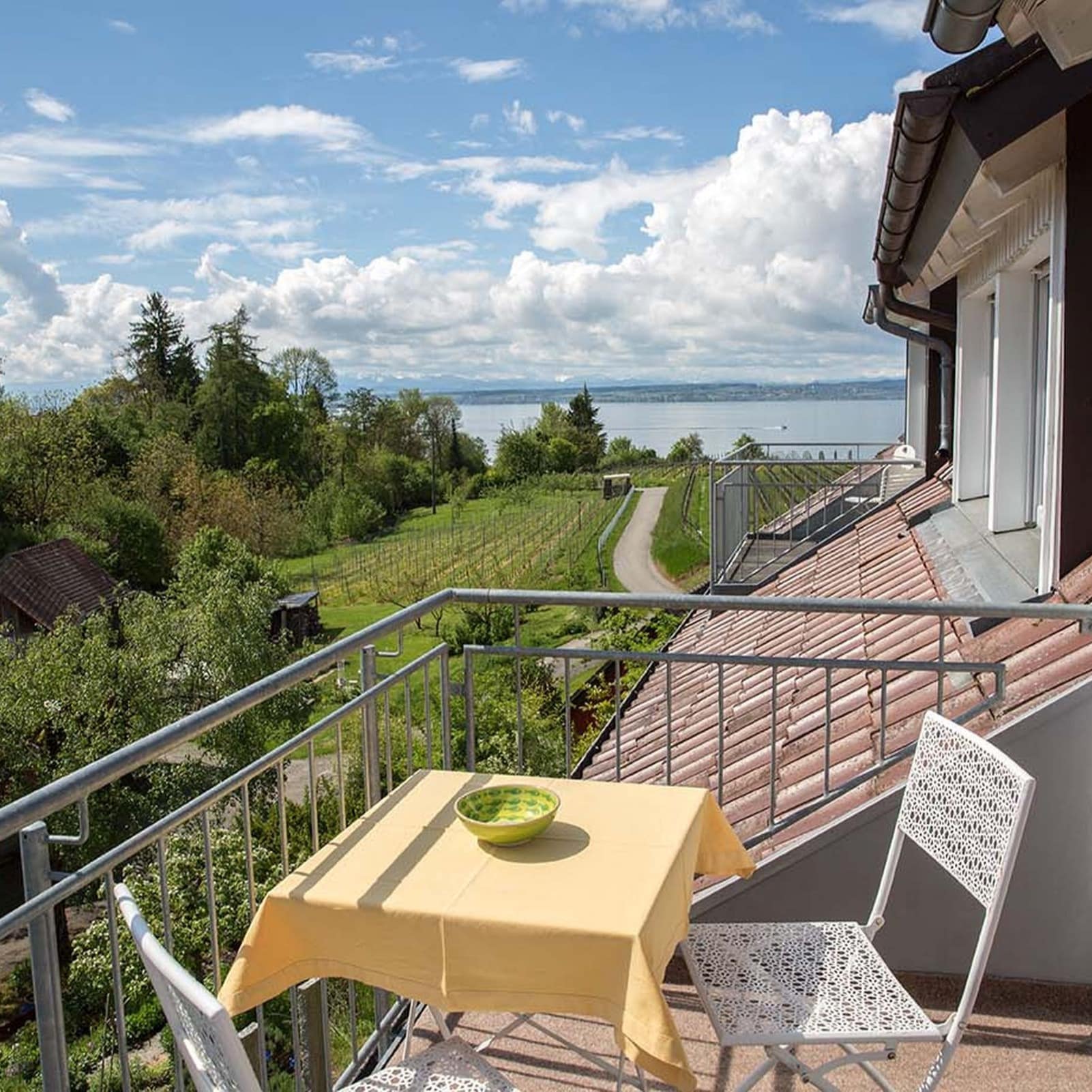 Blick vom Balkon einer Ferienwohnung in Meersburg inmitten von Weinreben und Aussicht auf den Bodensee