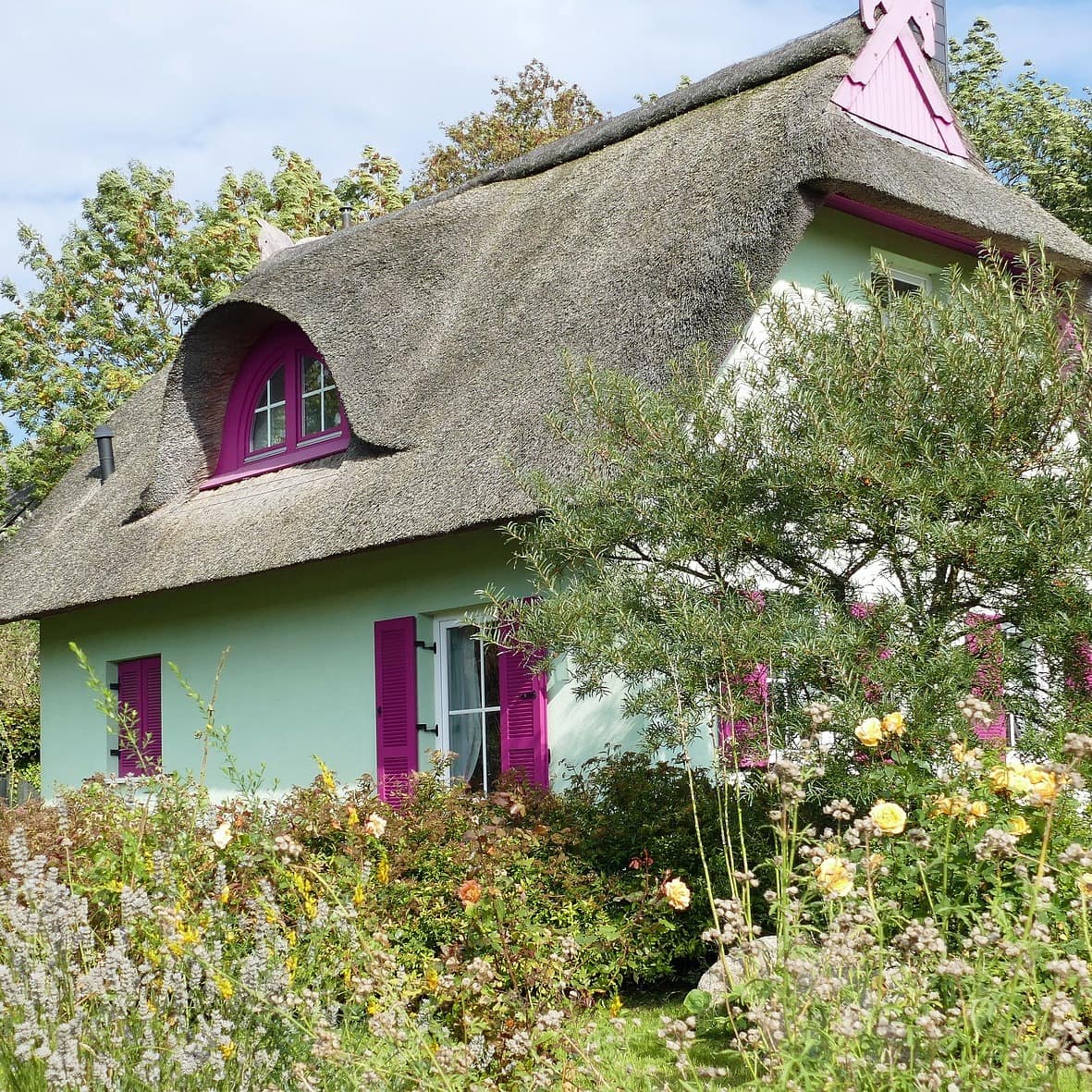 Ein Haus an der Ostsee in grün und pink inmitten eines blühenden Gartens