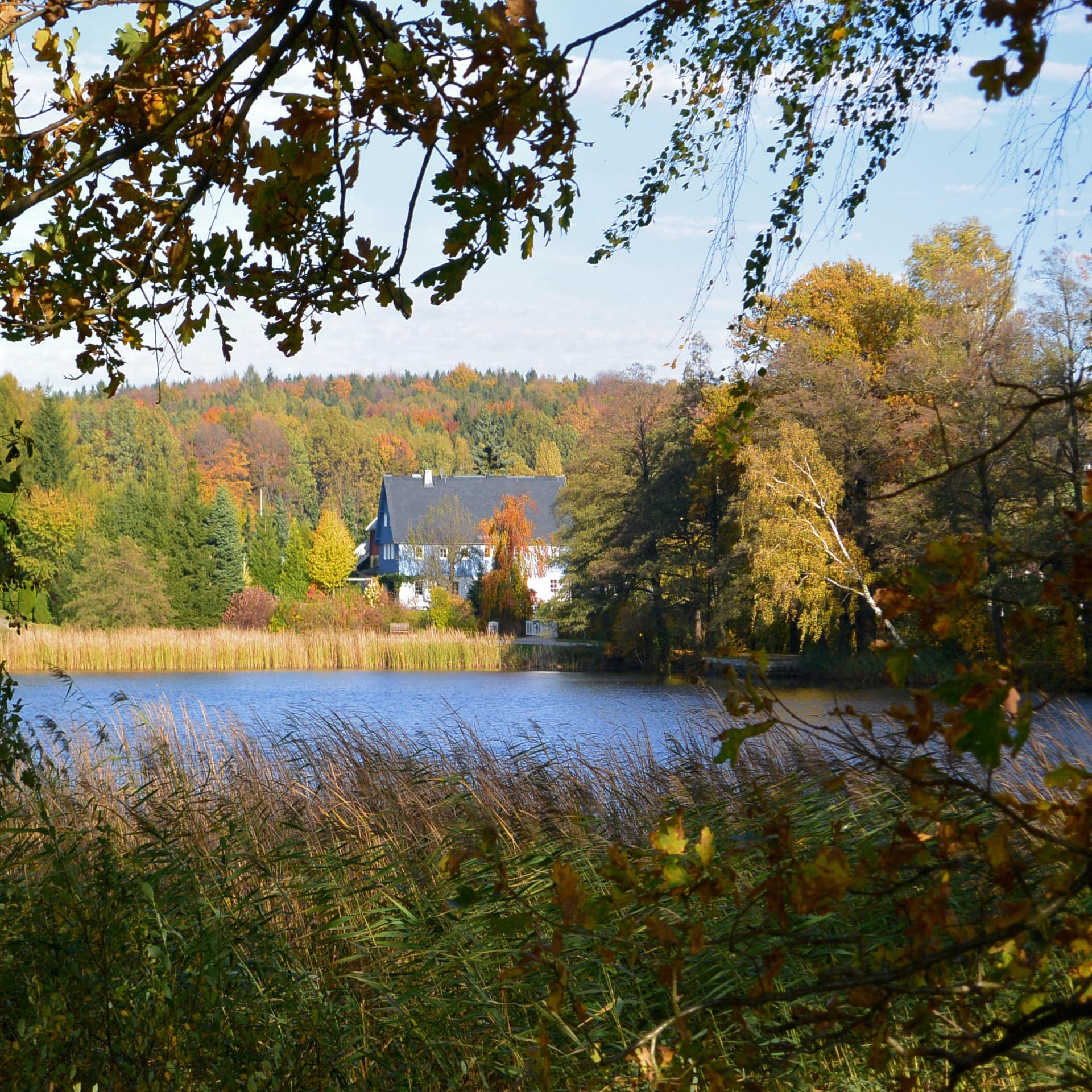 Haus am See im Herbst in der Sächsischen Schweiz.